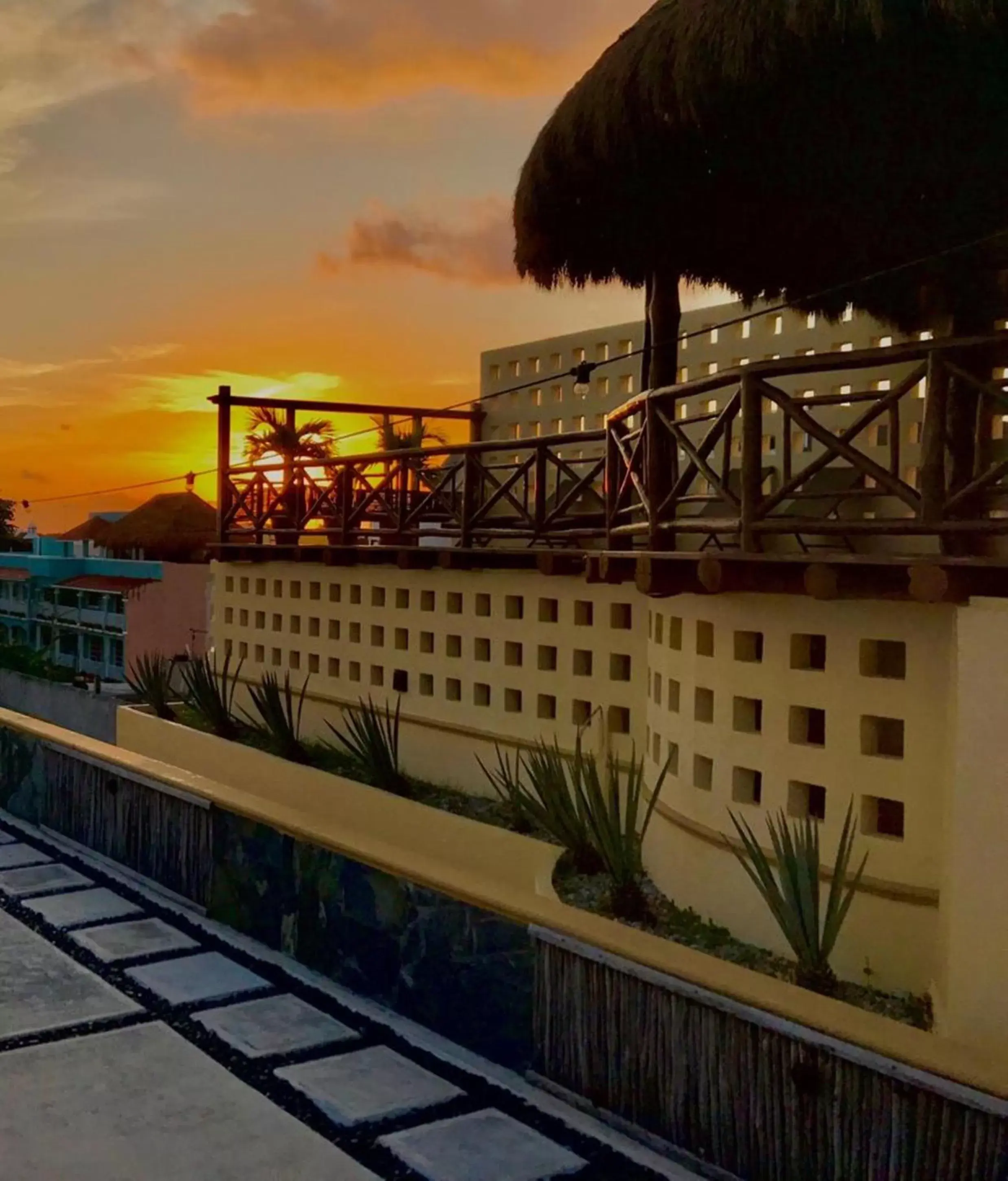 Balcony/Terrace, Swimming Pool in Hotel Cielo