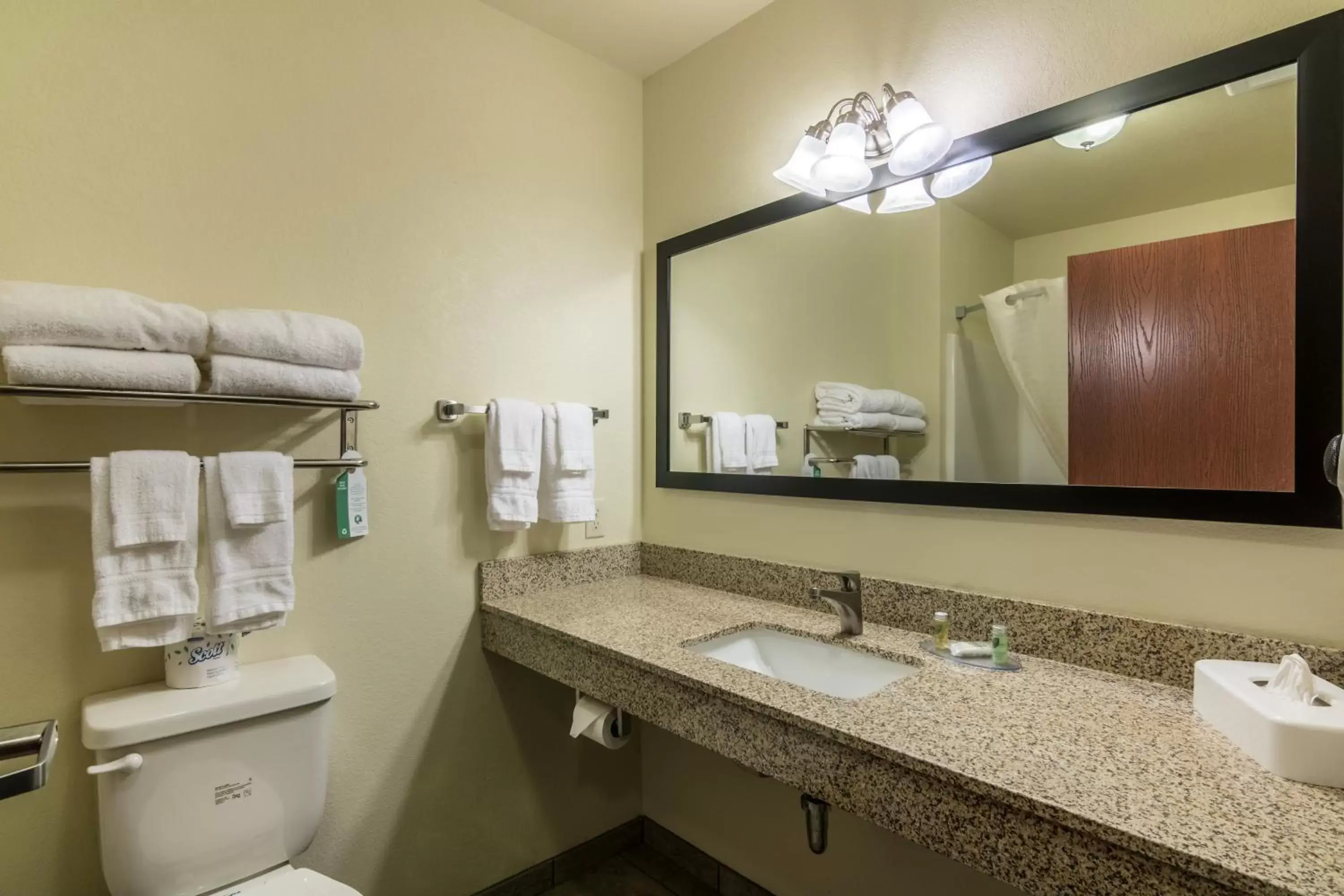 Bathroom in Cobblestone Inn & Suites - Soda Springs