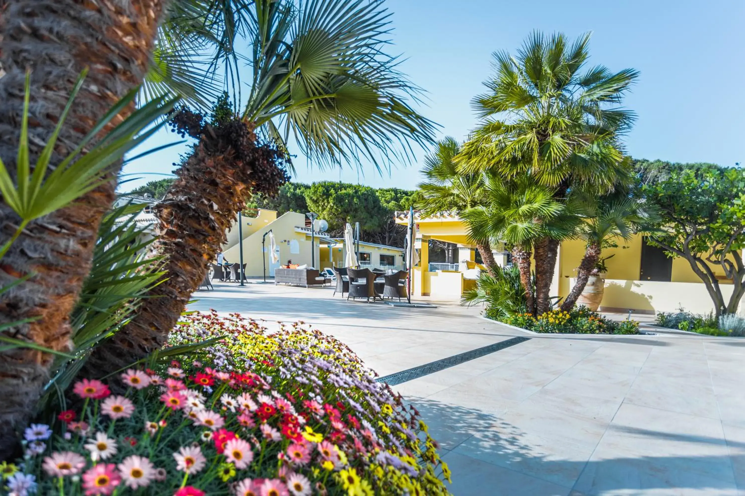 Garden in Hotel Fiore Di Maggio