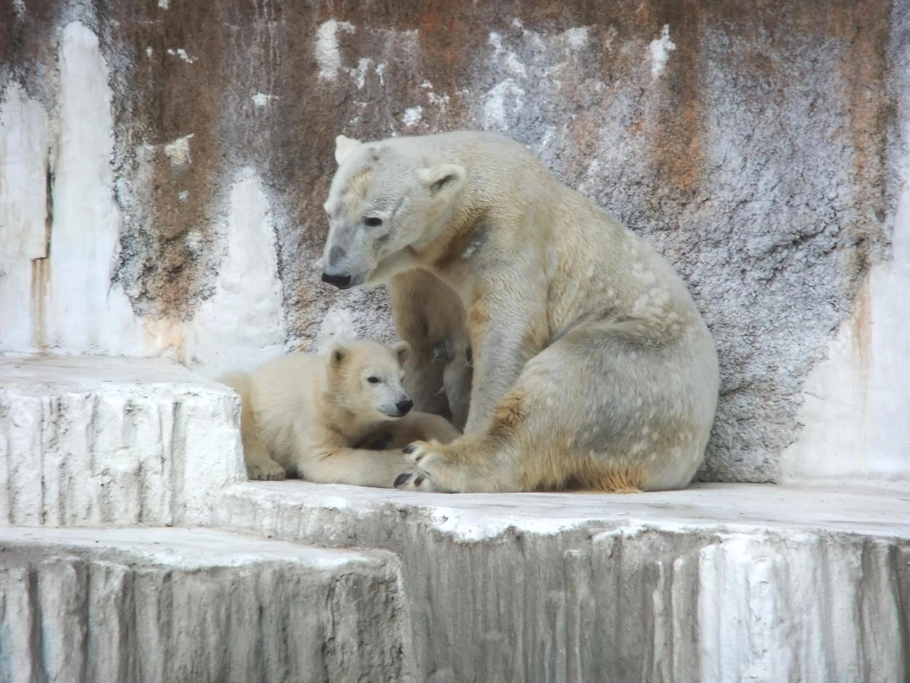 Nearby landmark in KOKO HOTEL Higashiosaka - formerly Hotel Wing International Select Higashi Osaka
