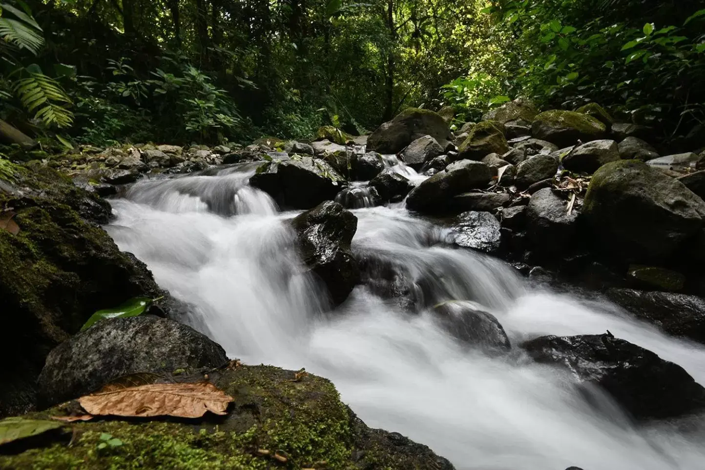 Hiking, Natural Landscape in Hotel Campo Verde