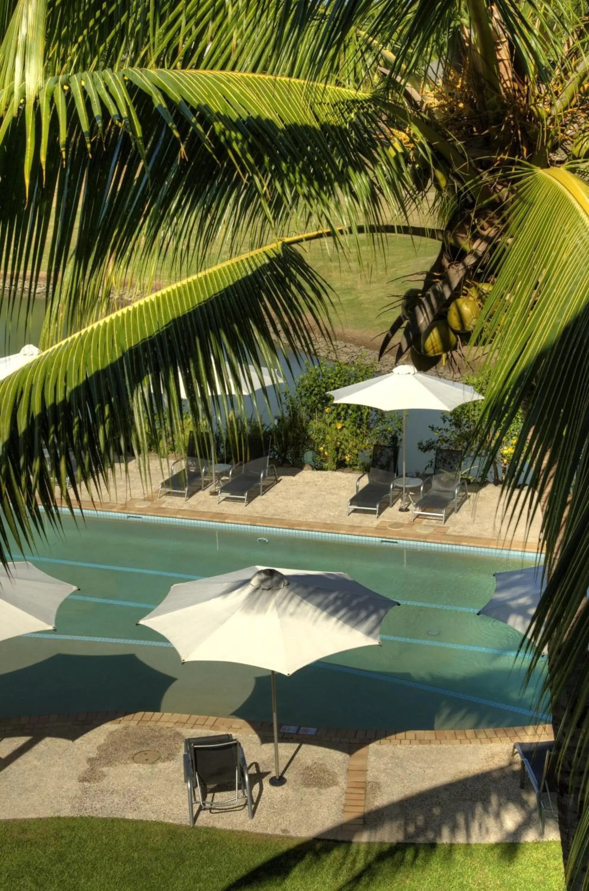 Swimming pool, Pool View in The Terraces Apartments Denarau