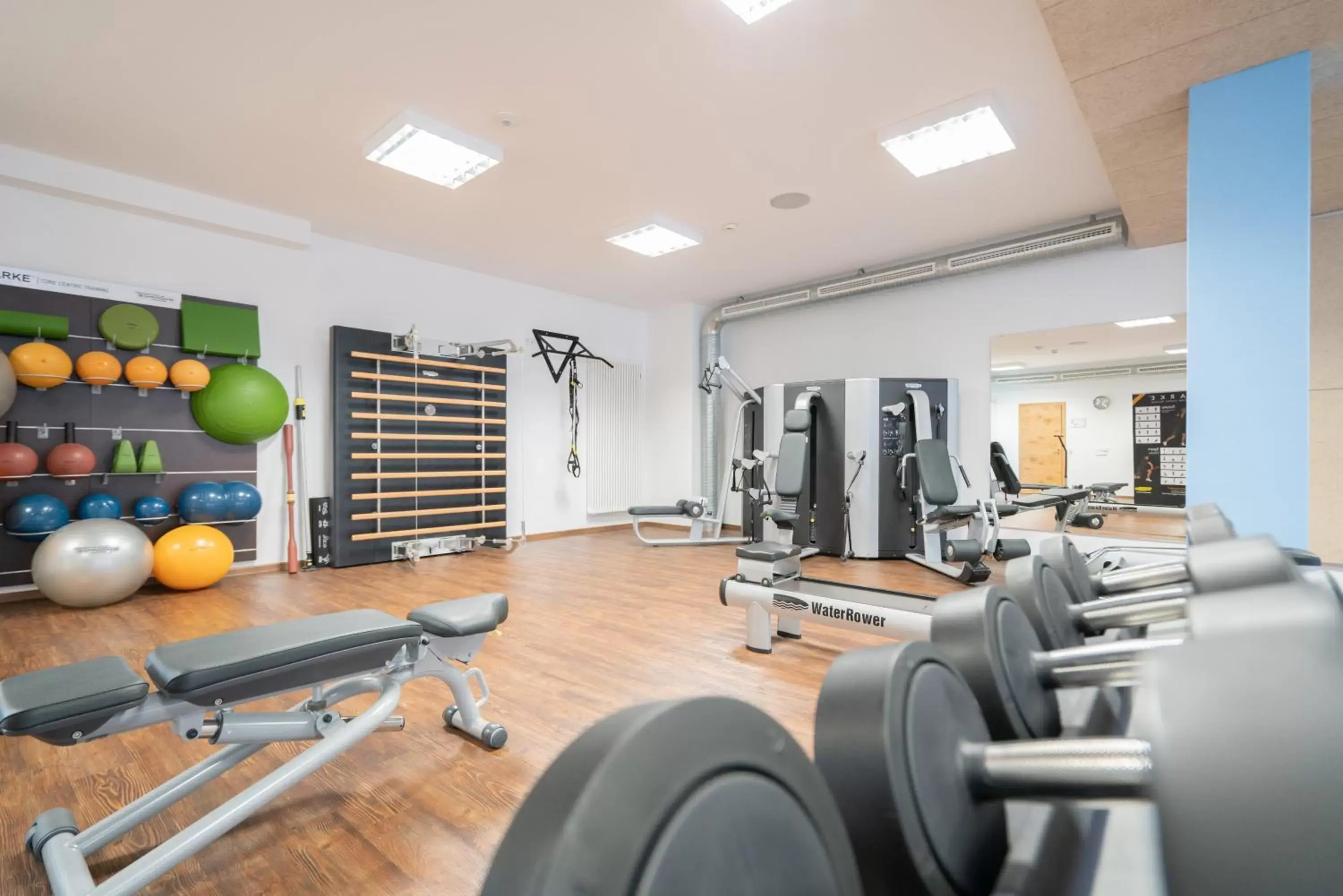 Fitness centre/facilities, Fitness Center/Facilities in Hotel Adler - Paulas Alb