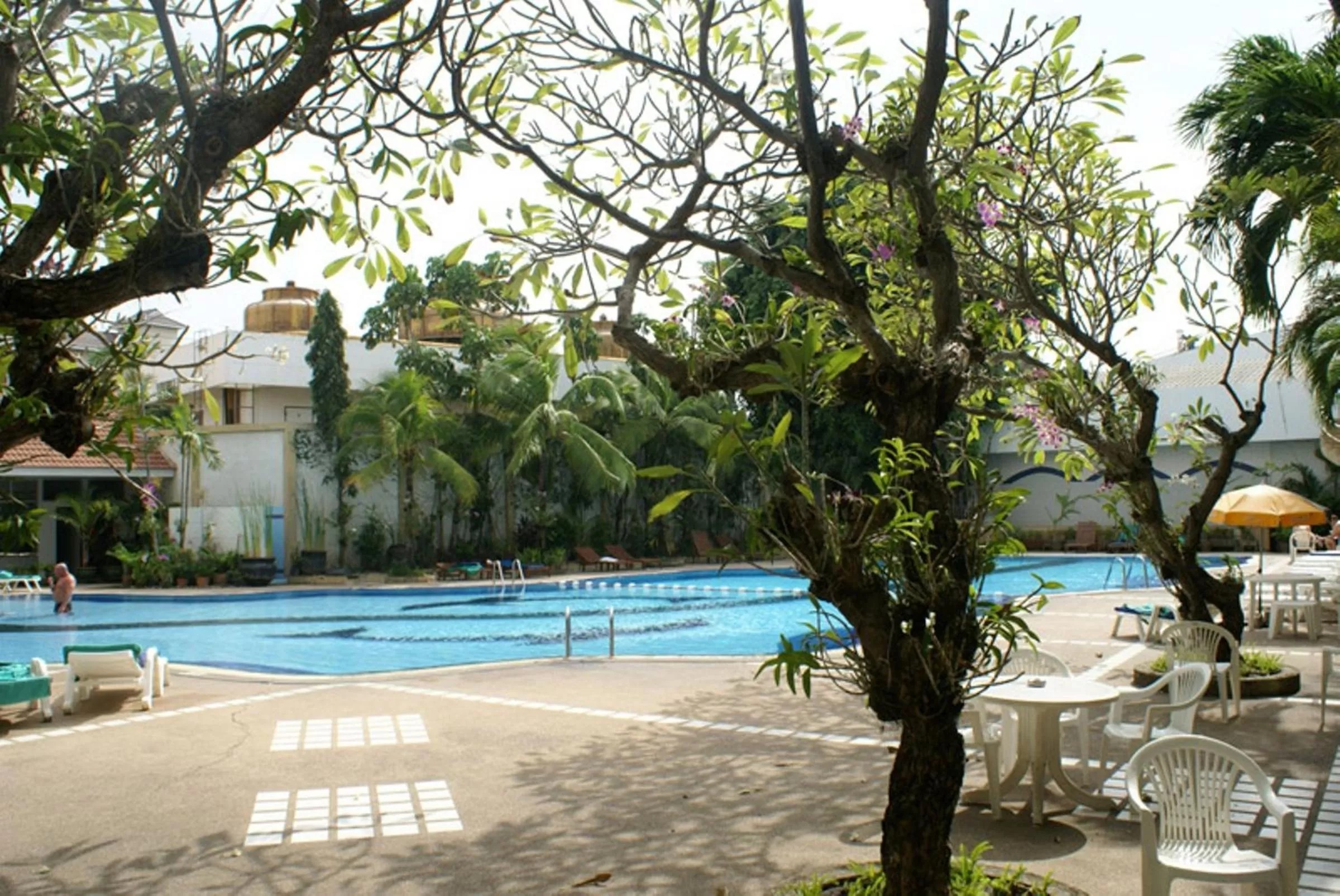 Swimming pool in Royal Twins Palace Hotel