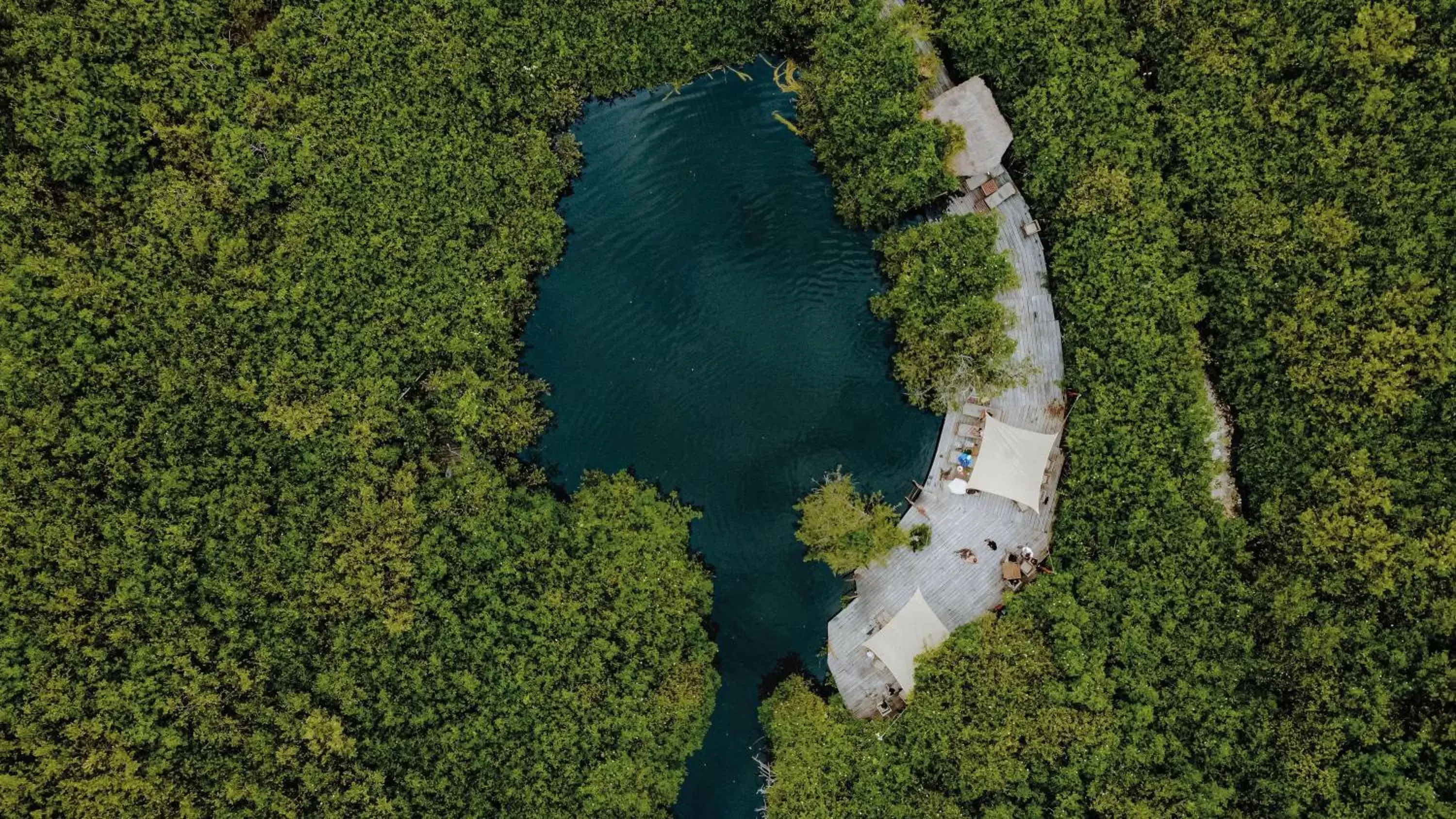 Bird's-eye View in Casa Teka