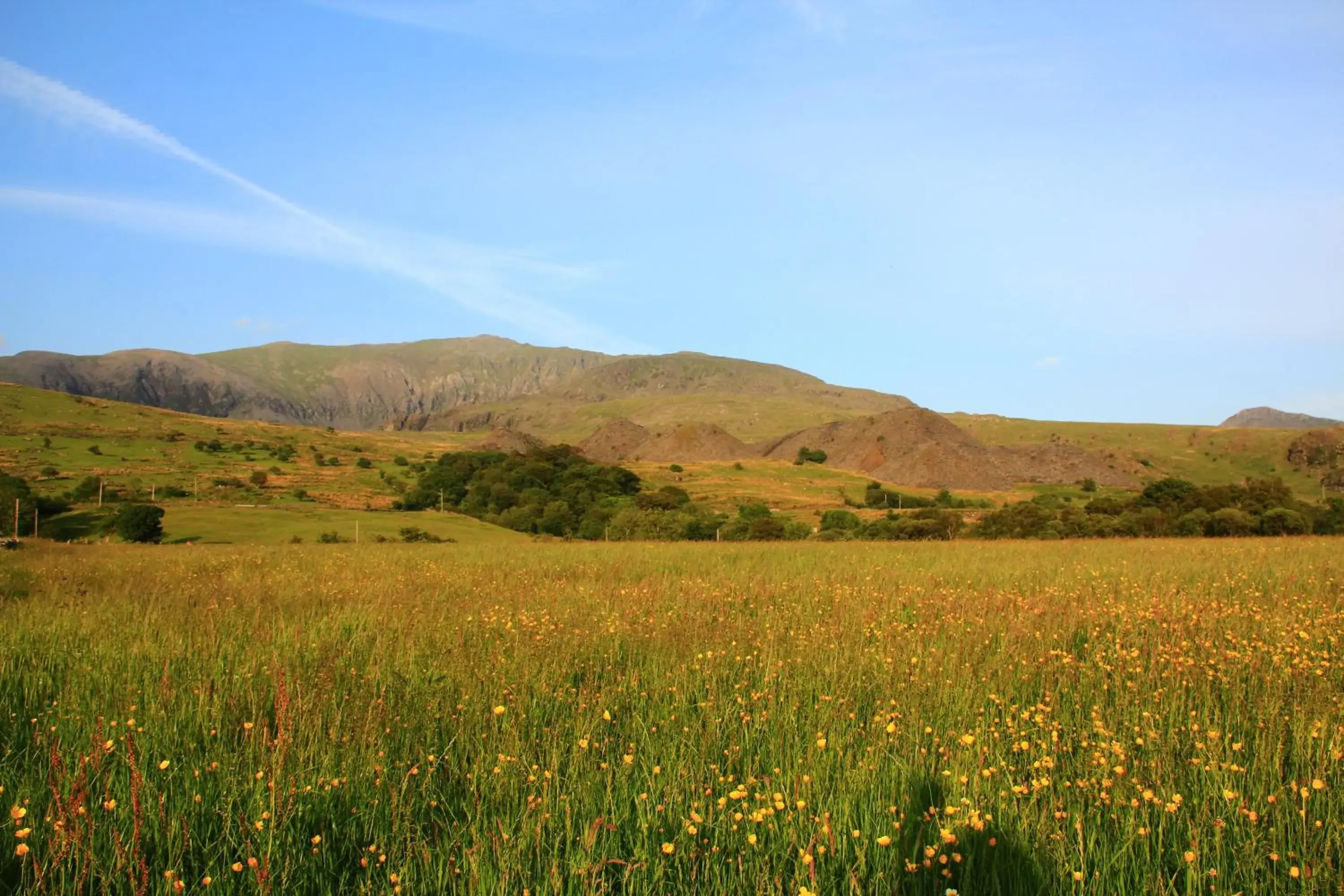 Area and facilities, Natural Landscape in Aberdunant Hall Country Hotel