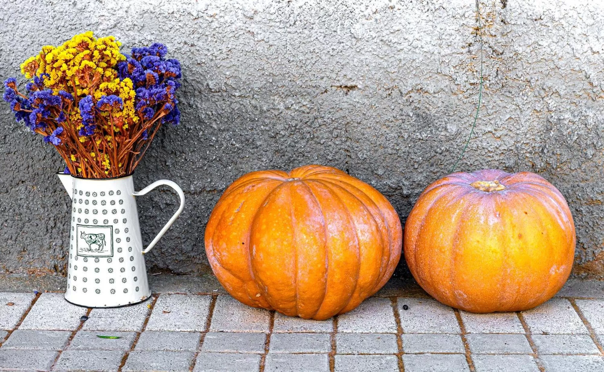 Garden in Comfort Stay Athens Airport Hotel - FREE shuttle from and to the airport