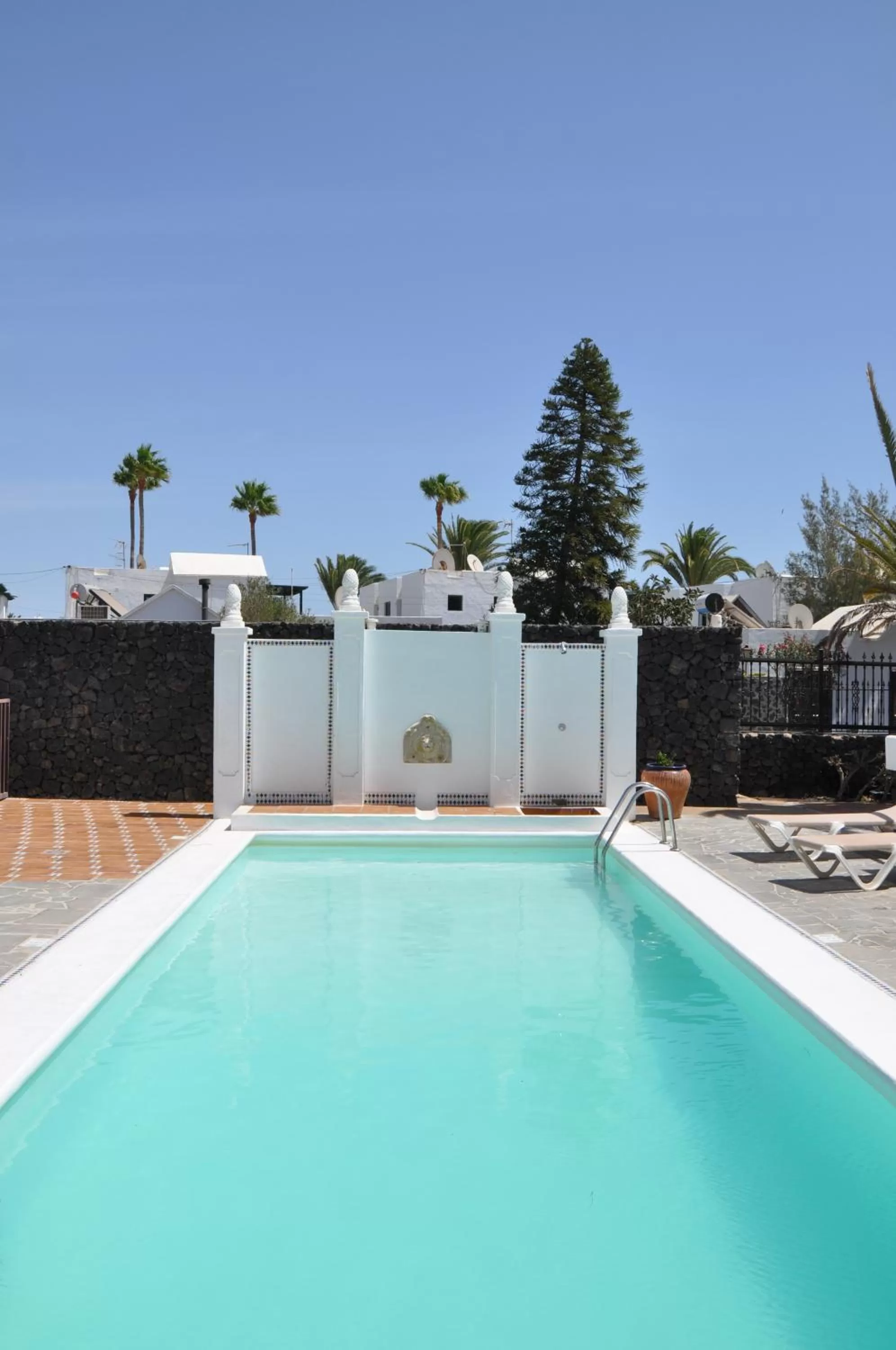 Swimming pool in Los Tulipanes