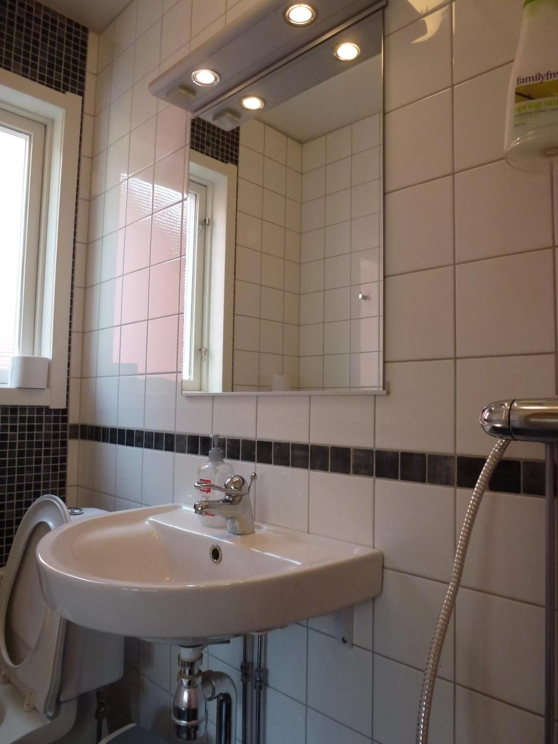 Bathroom in Sven Fredriksson Bed & Breakfast