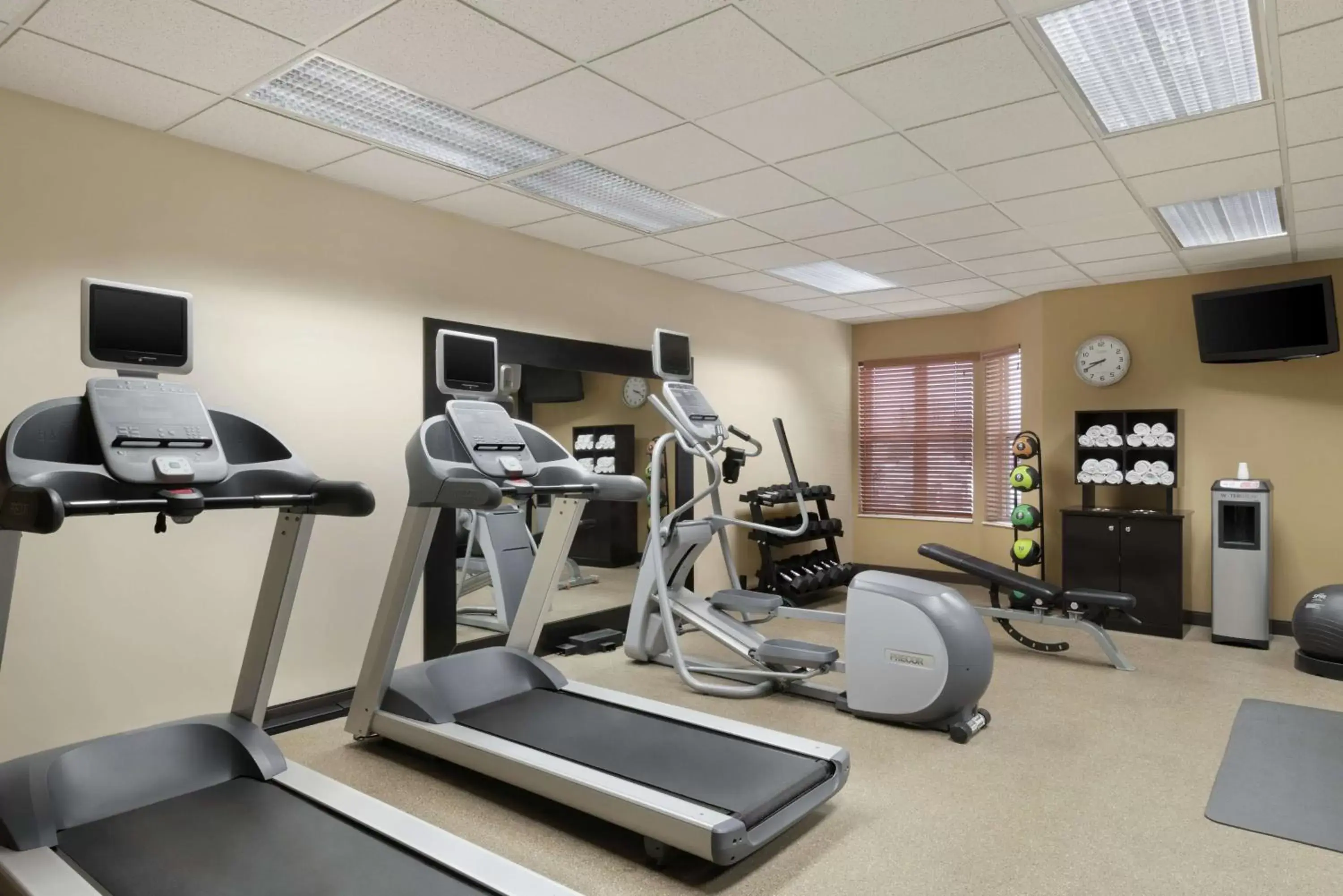 Fitness centre/facilities, Fitness Center/Facilities in Homewood Suites Rochester-Henrietta