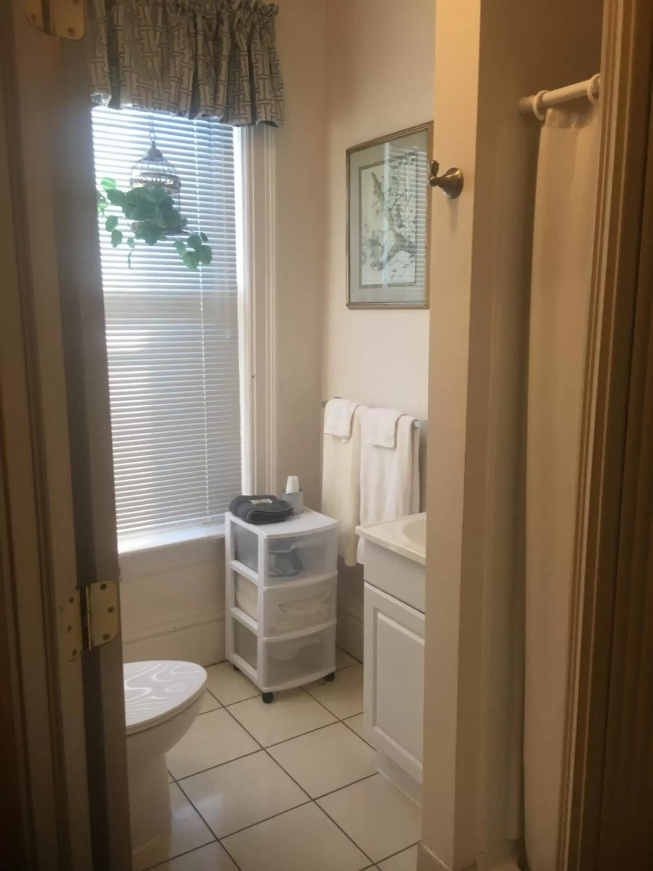 Bathroom in Bayberry House Bed and Breakfast