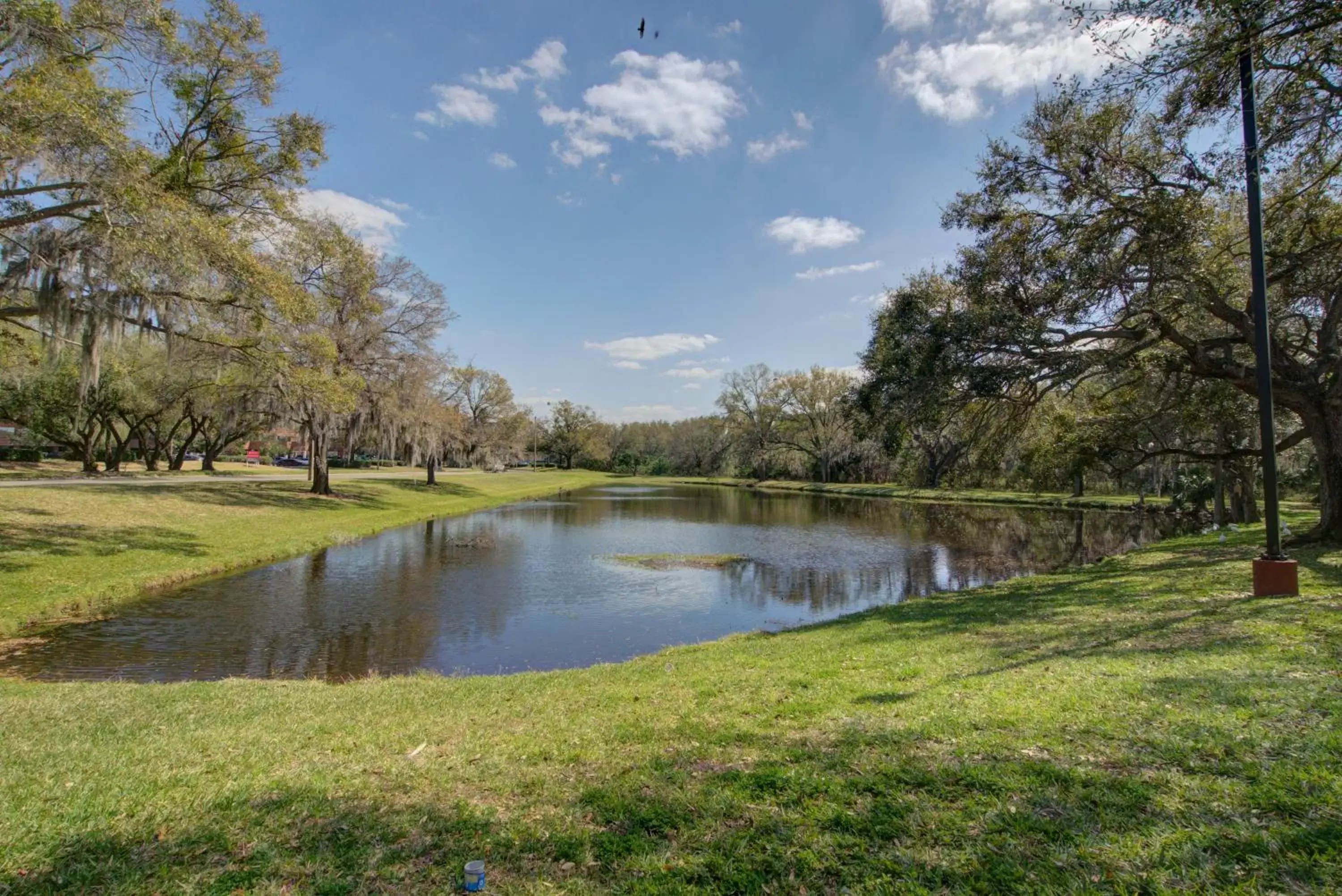 View (from property/room) in Clarion Pointe Tampa East near Fairgrounds and Casino