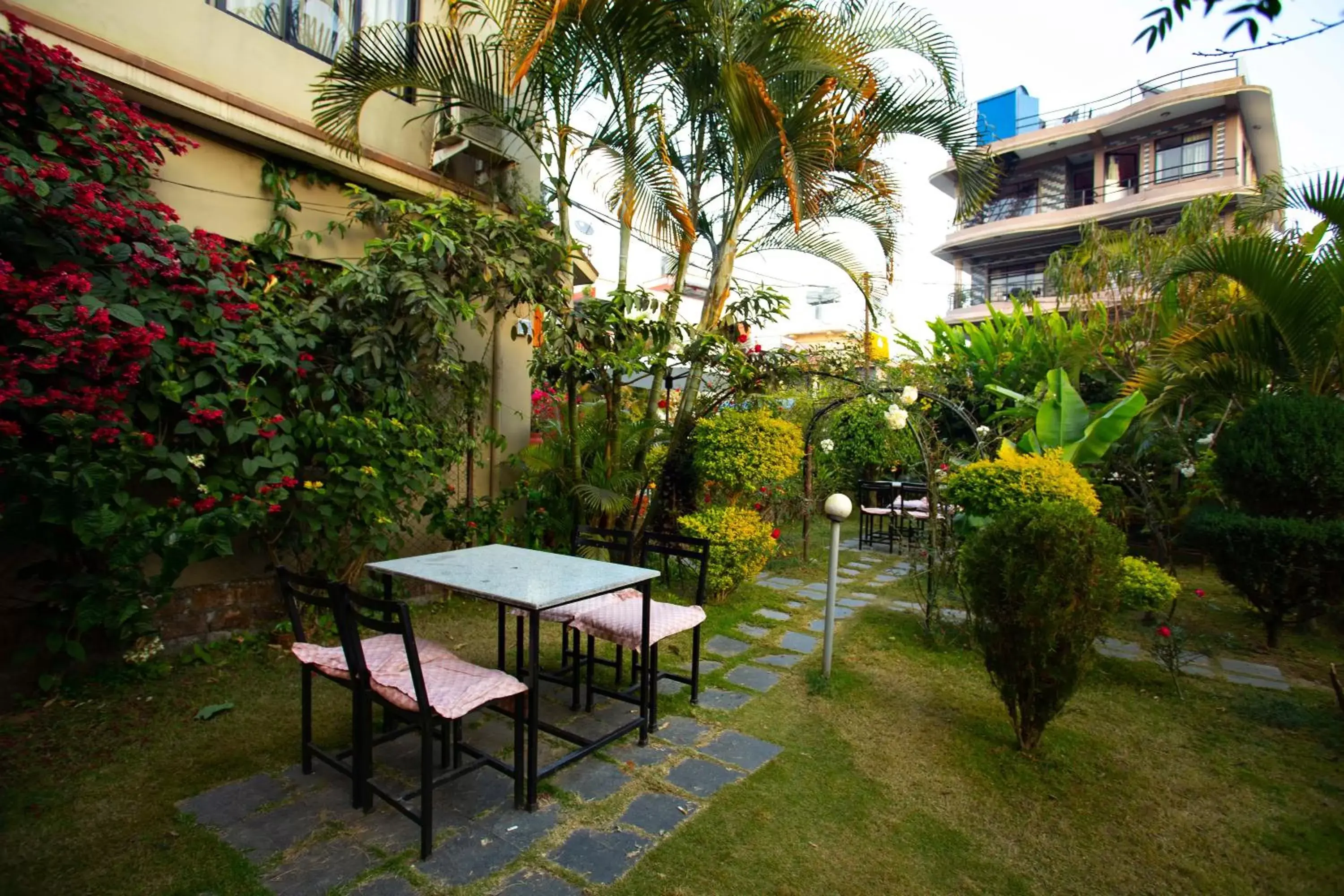 Patio in Hotel Orchid