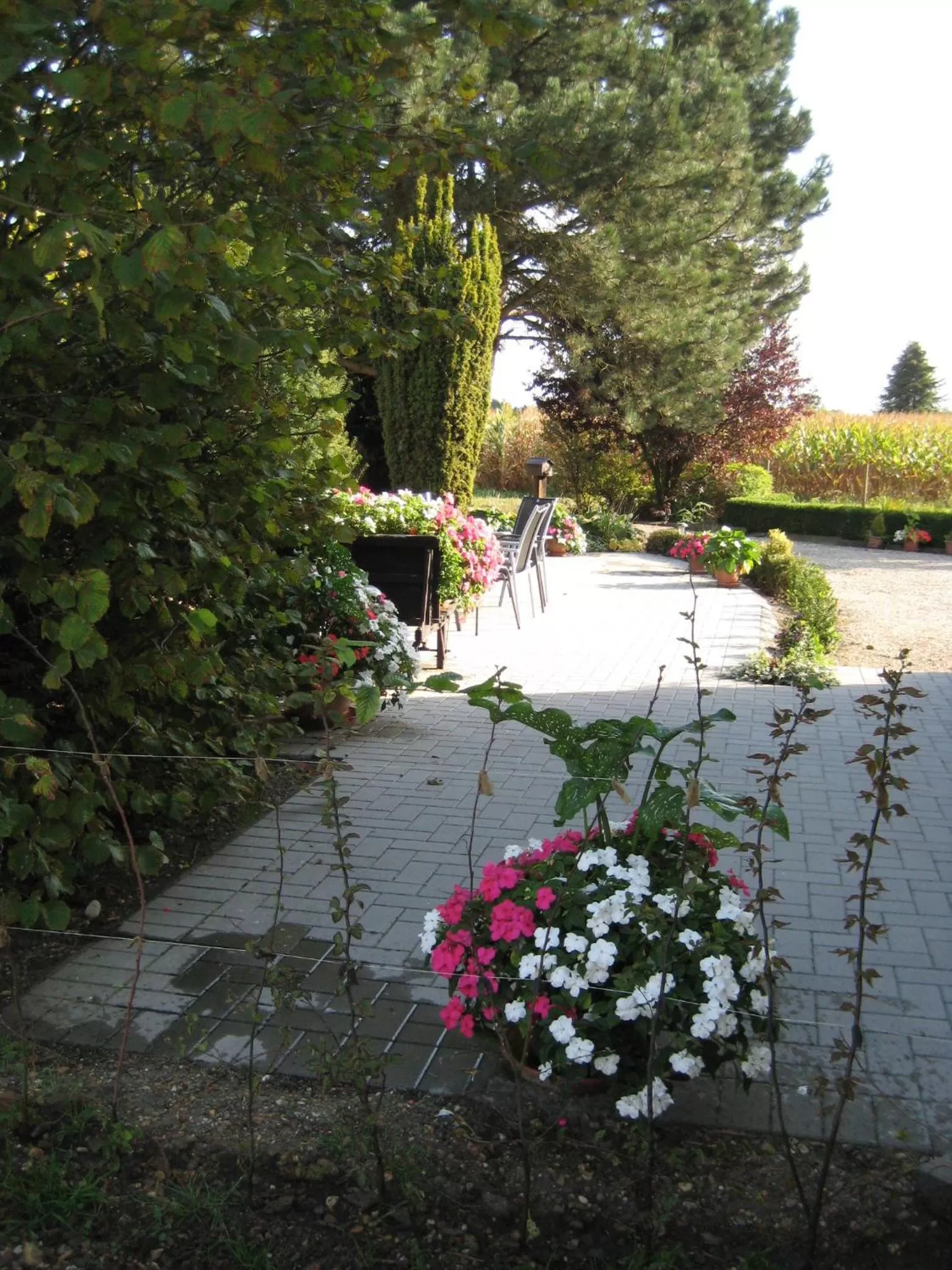 Other in B&B Het Uilennest