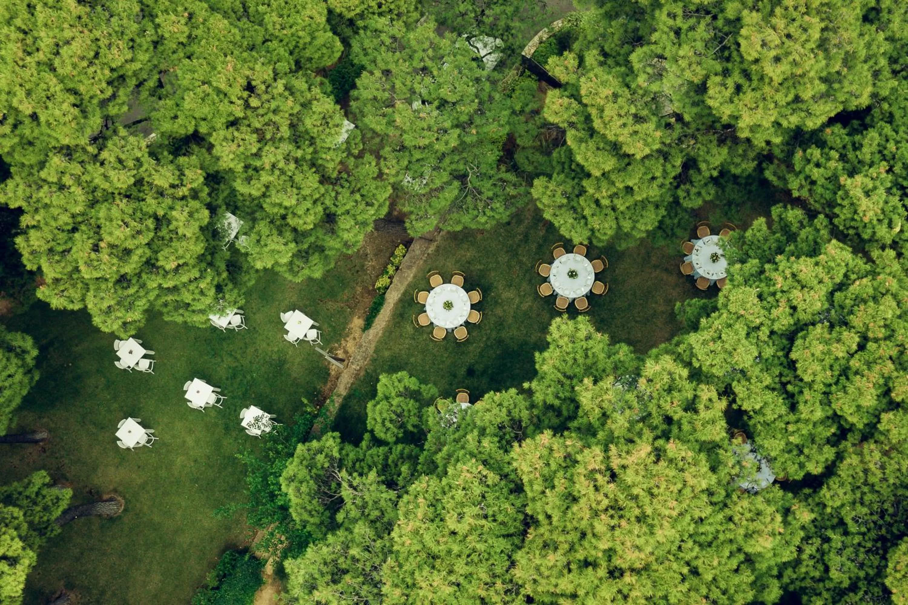 Banquet/Function facilities in Domotel Kastri