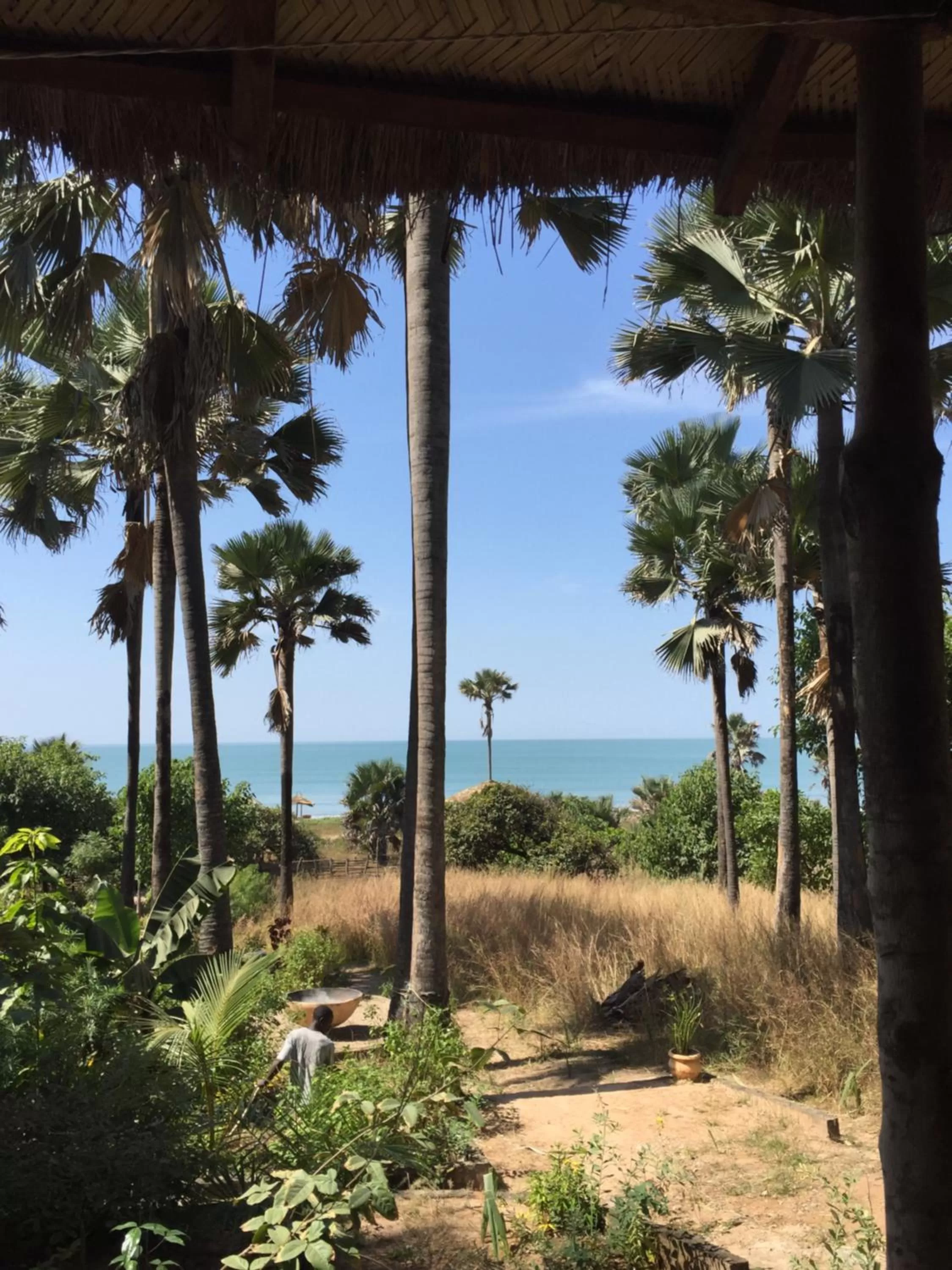 Natural landscape in Nemasu Eco-lodge