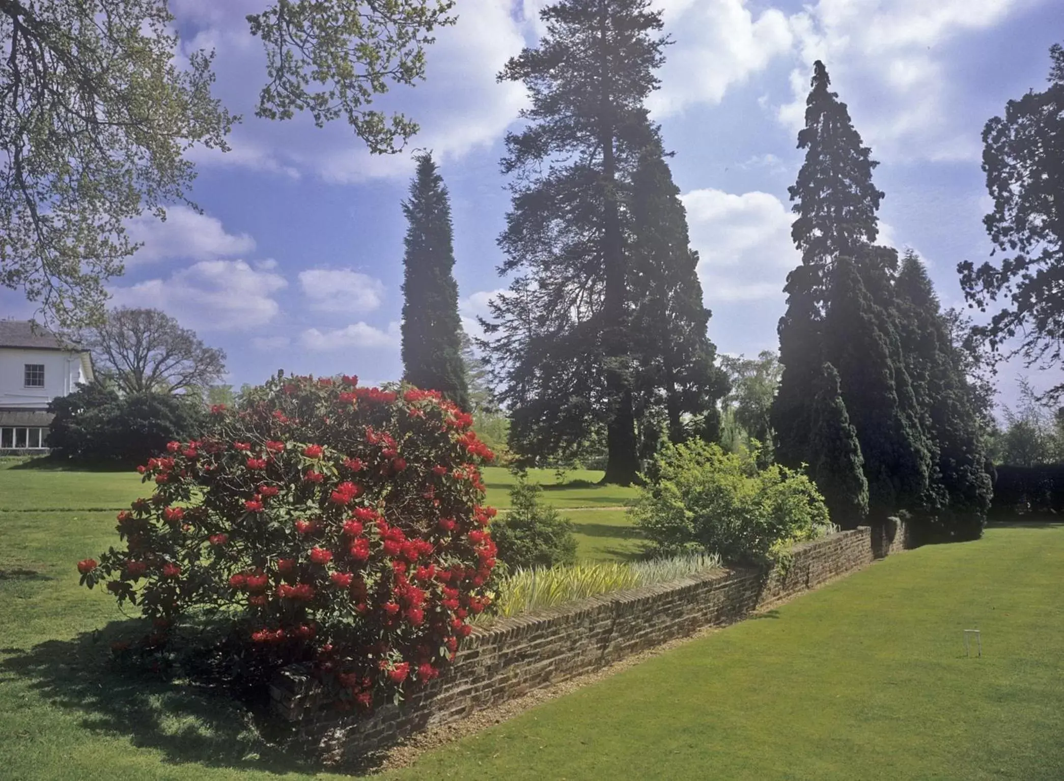Garden in West Lodge Park