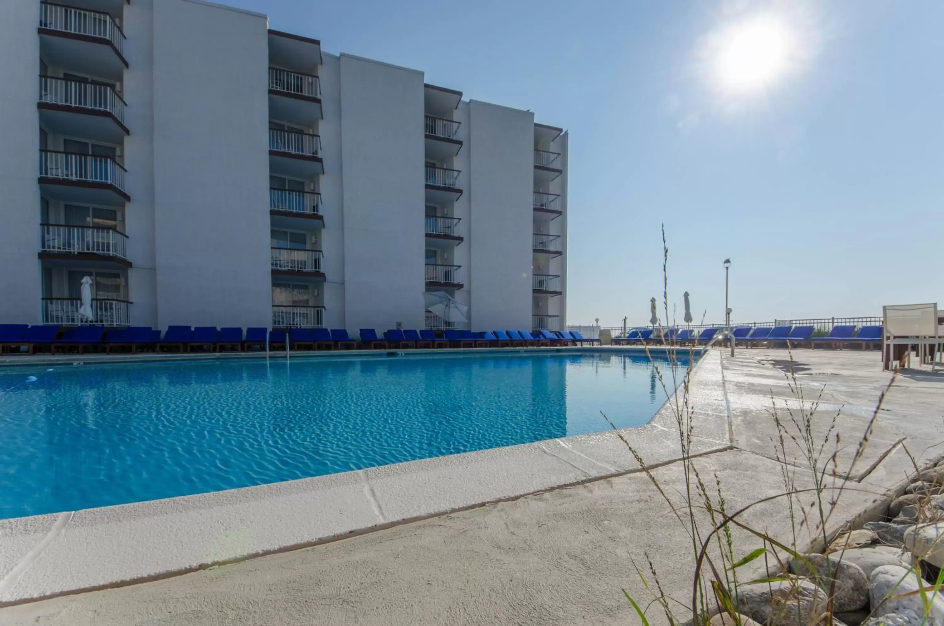 Pool view, Swimming Pool in ICONA Diamond Beach