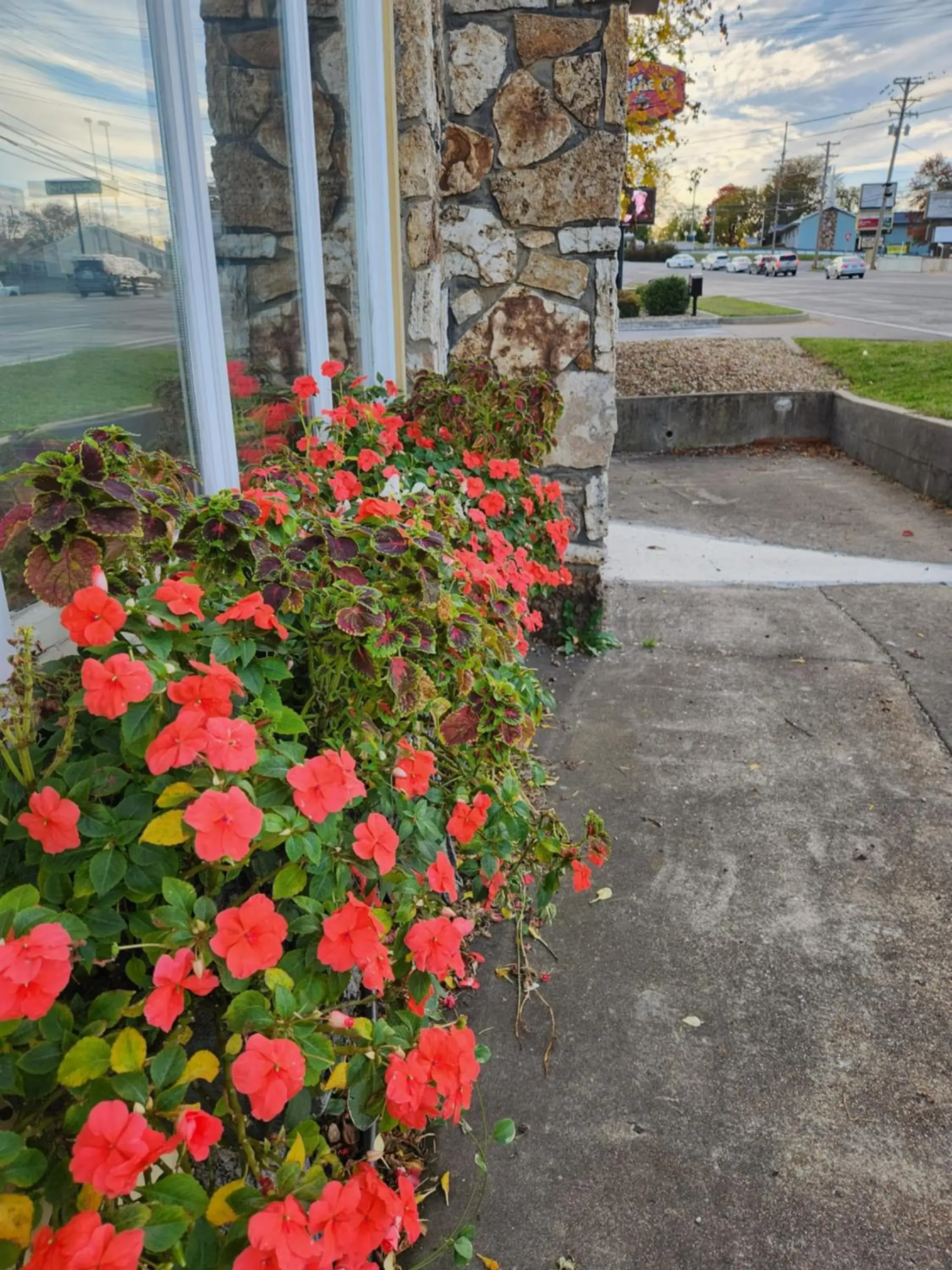 Property building, Garden in Homestead Motel