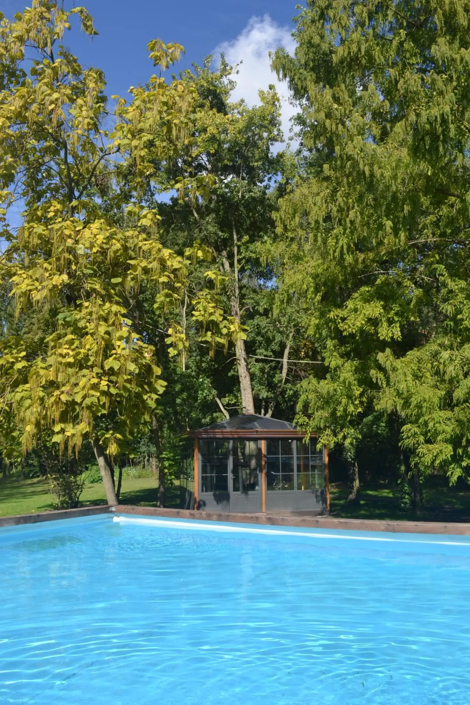 Day, Swimming Pool in Cascina Scova Resort