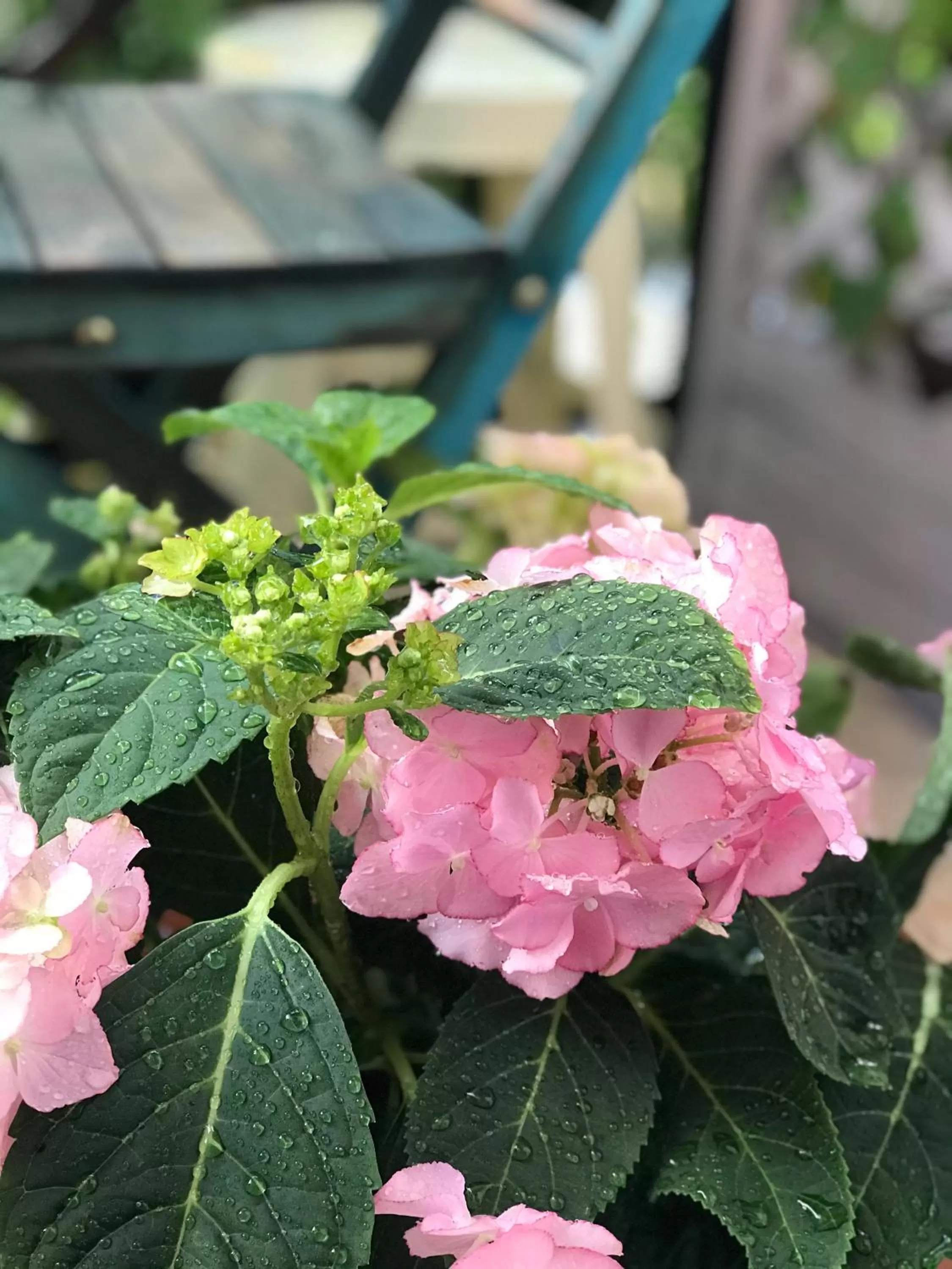 Ti vengo a cercare B&B