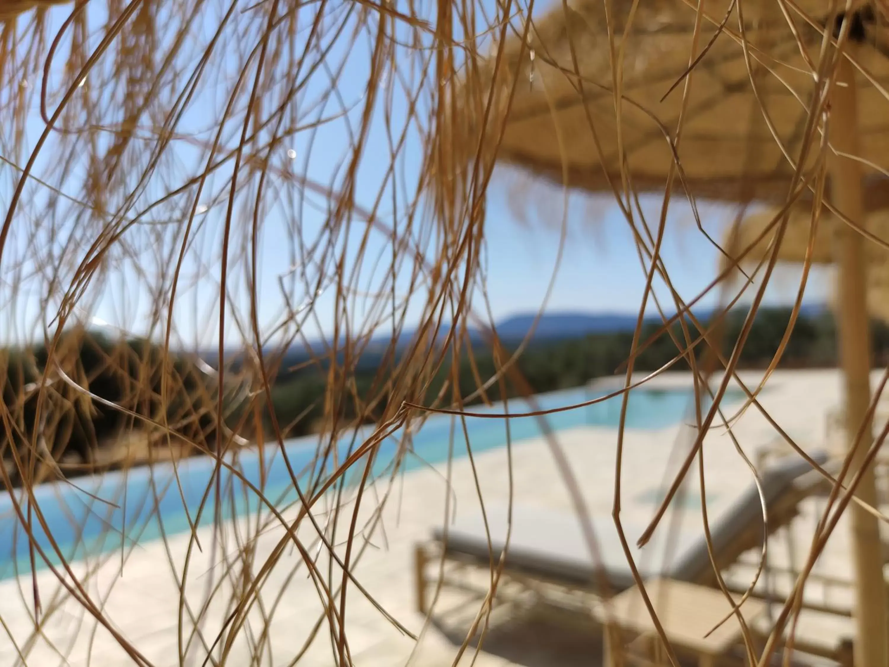 Swimming pool in Hábitat Cigüeña Negra