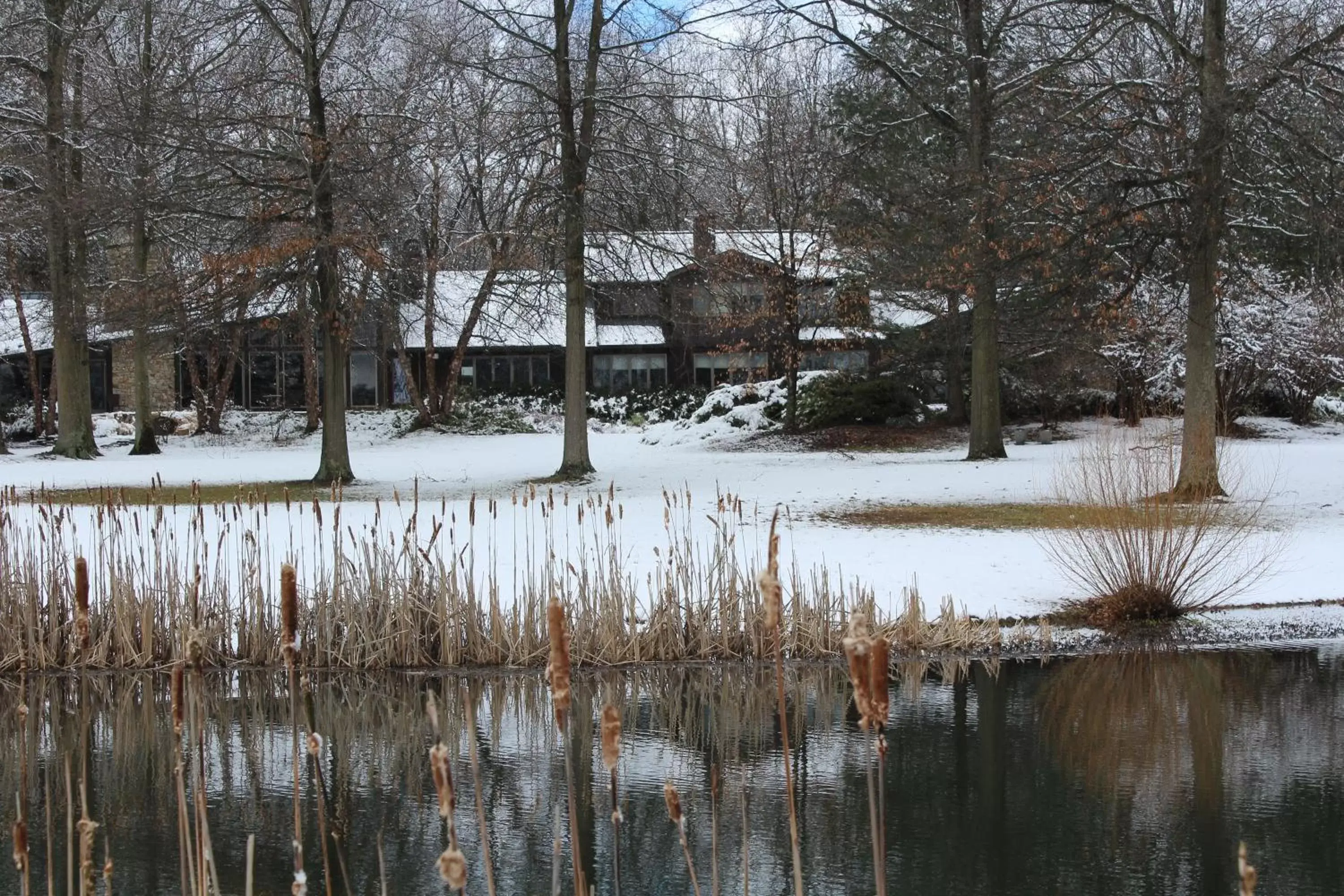 Lake view, Winter in The Inn at White Oak