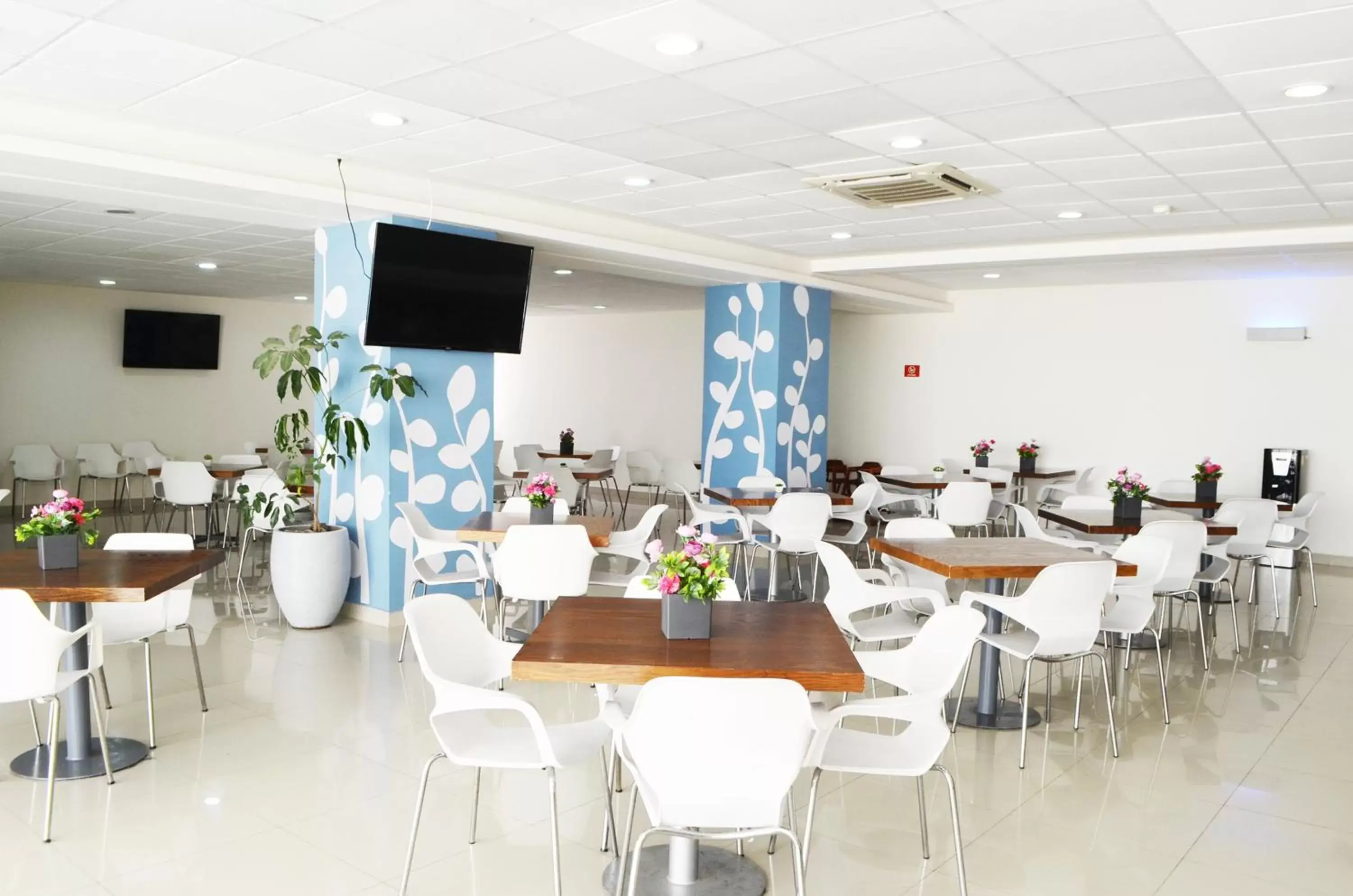 Restaurant/places to eat in Sleep Inn Mazatlan Restaurant/places to eat in Sleep Inn Mazatlan