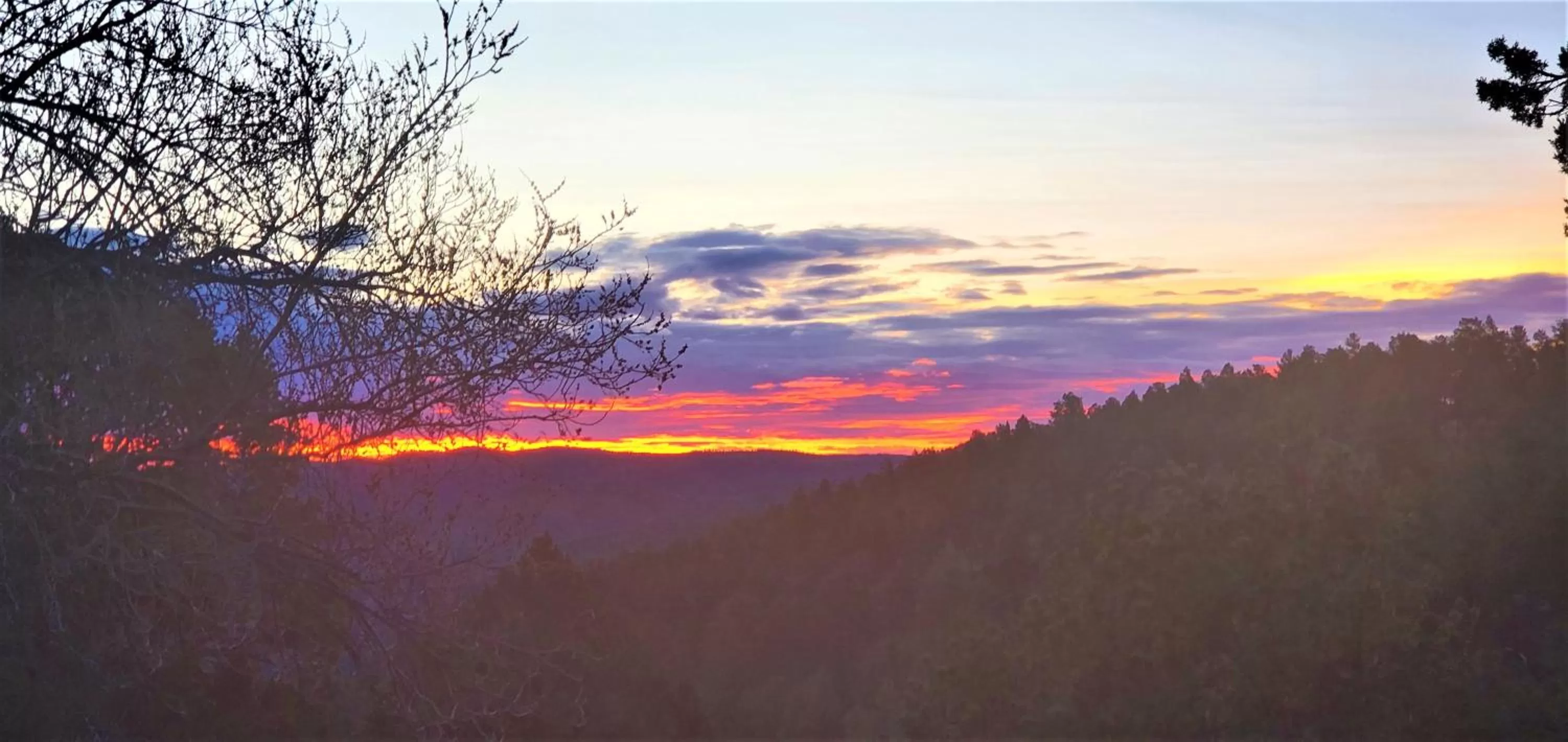Natural landscape in High Sierra Condominiums