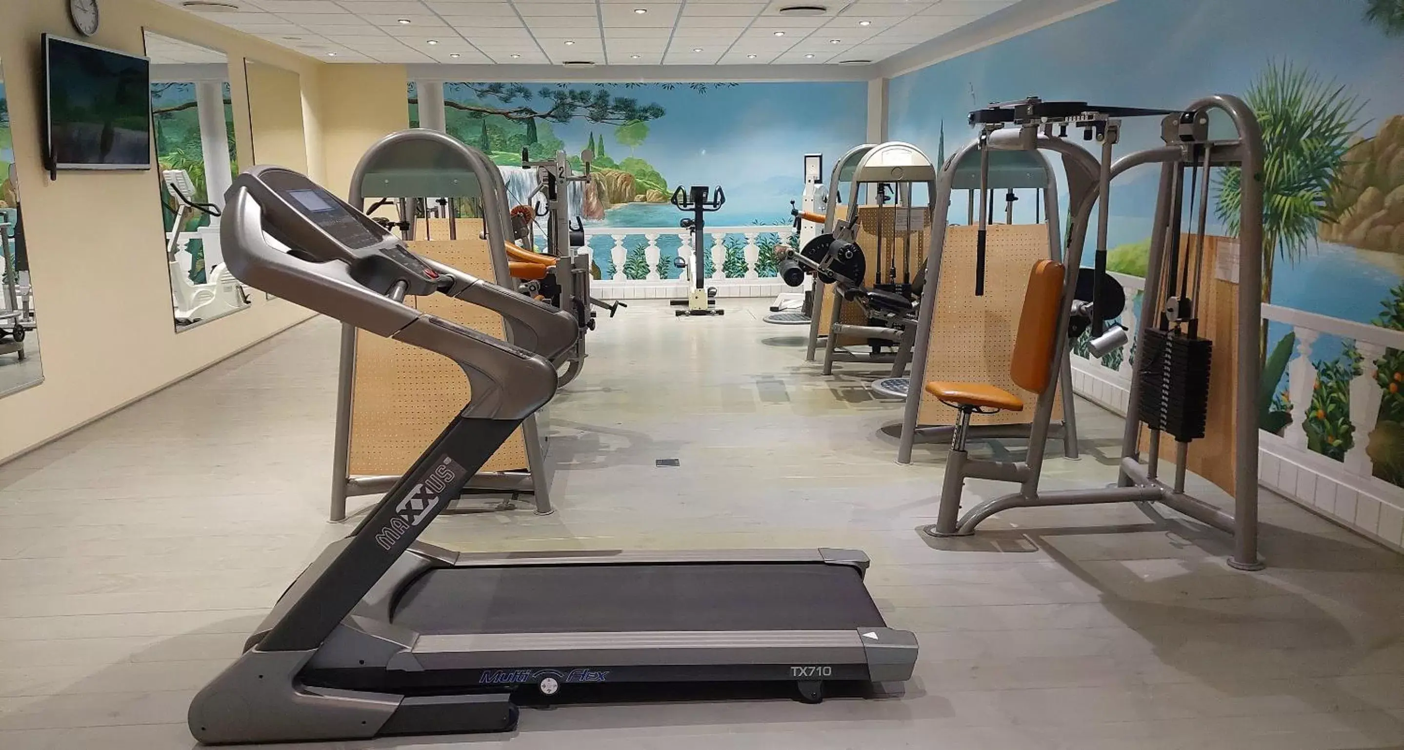 Fitness centre/facilities, Fitness Center/Facilities in Victor's Residenz-Hotel Gera