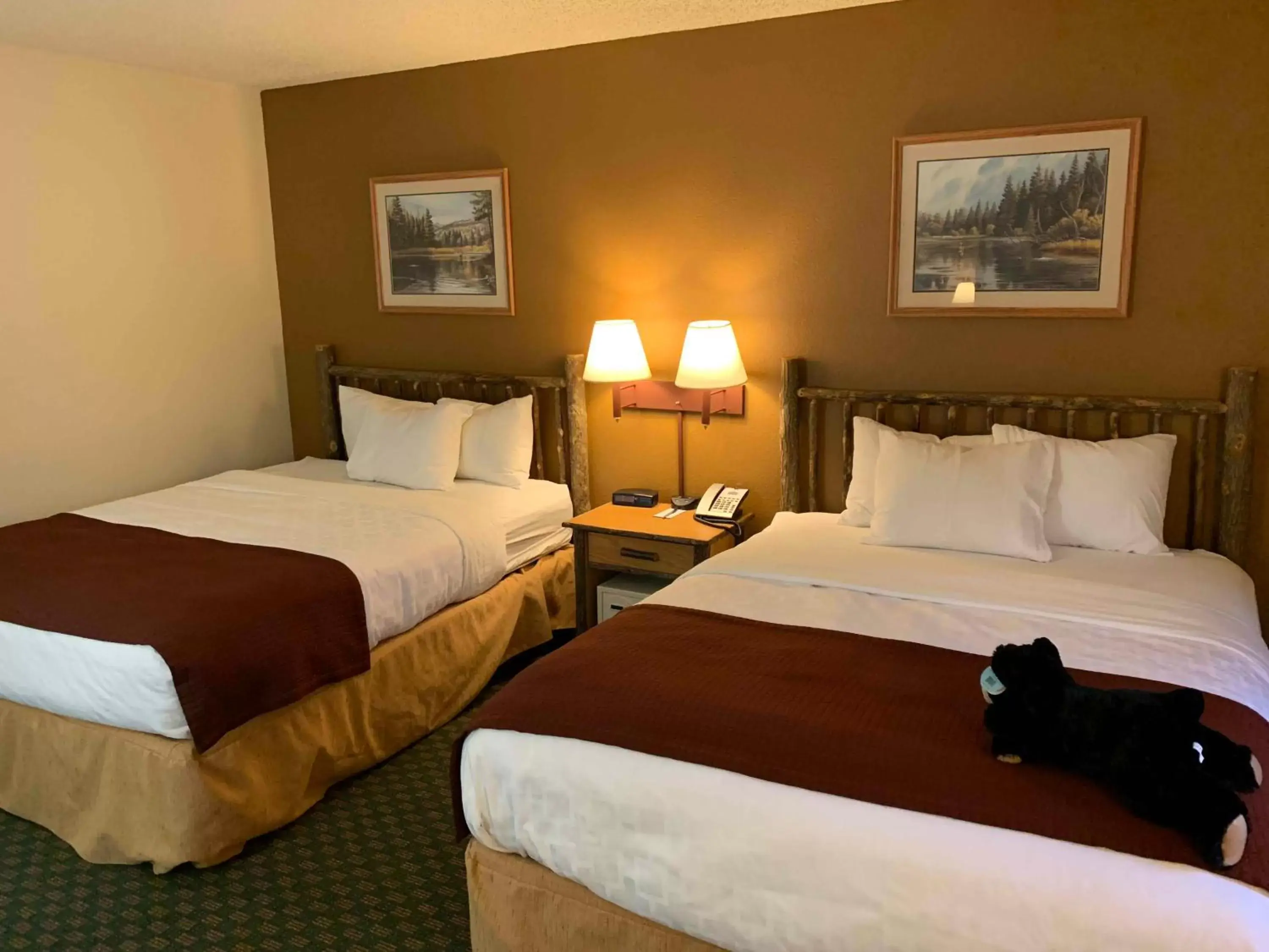 Photo of the whole room, Bed in AmericInn by Wyndham Cody