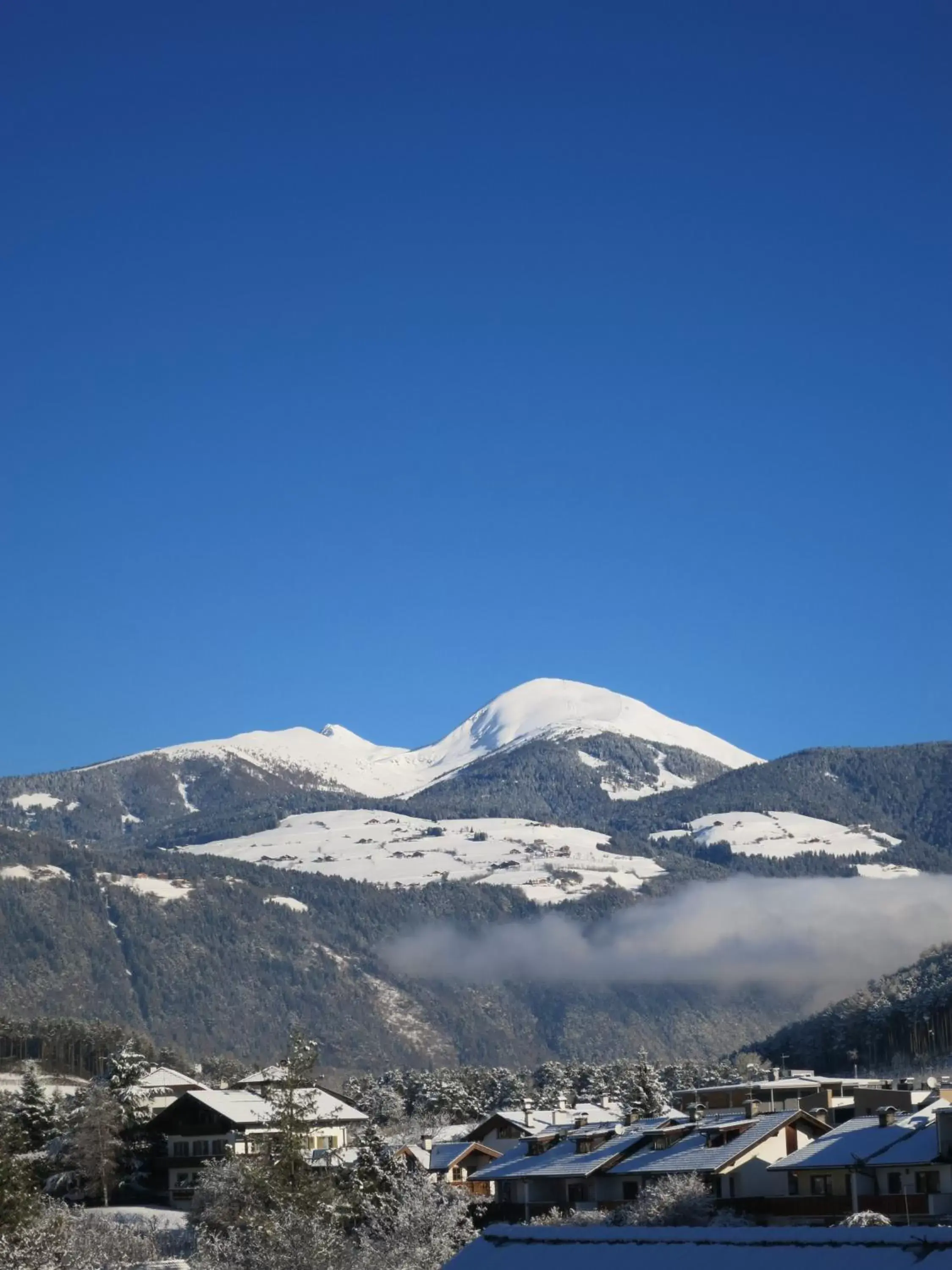 Natural landscape, Winter in Hotel Föhrenhof