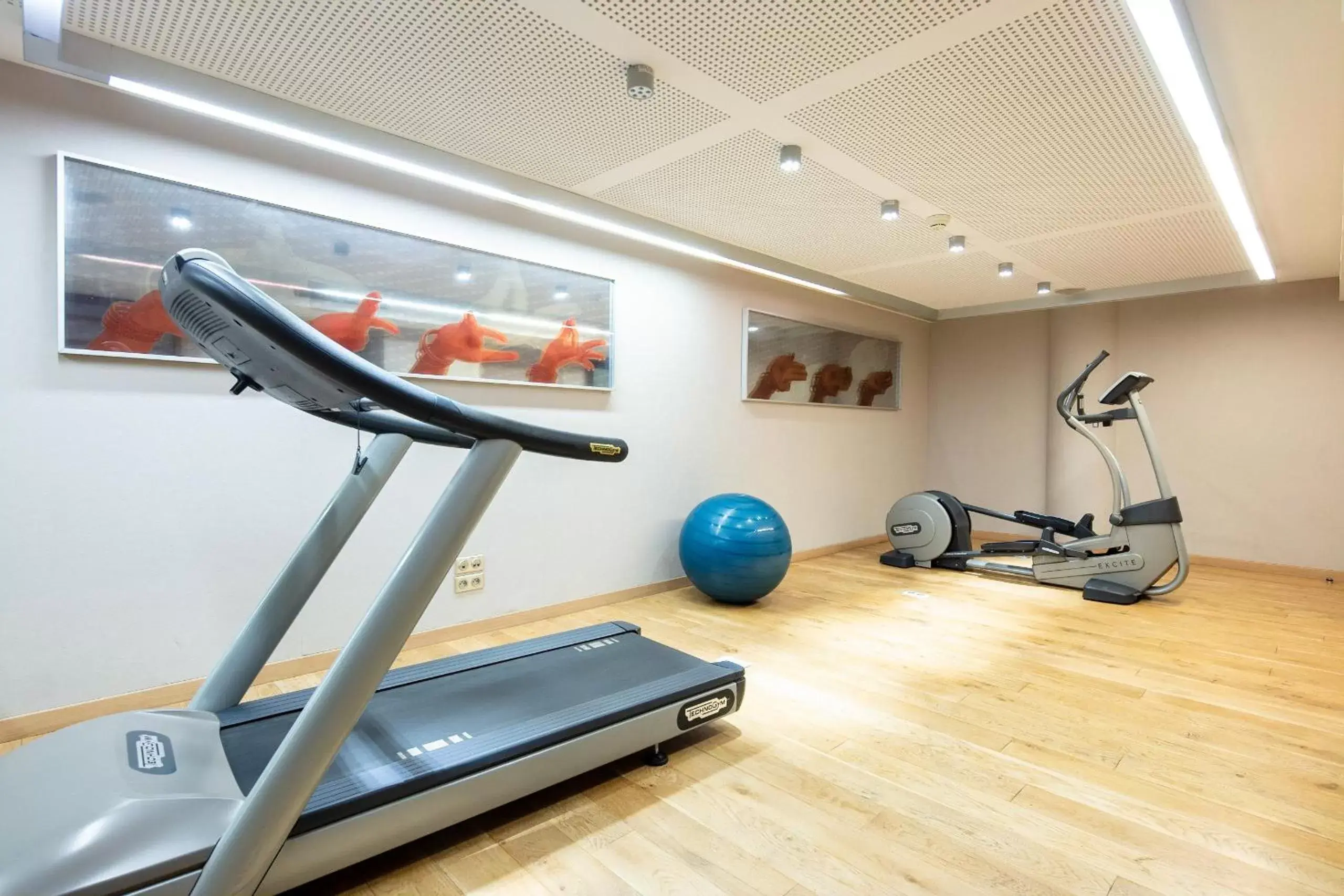 Fitness centre/facilities, Fitness Center/Facilities in Crowne Plaza Montpellier Corum, an IHG Hotel