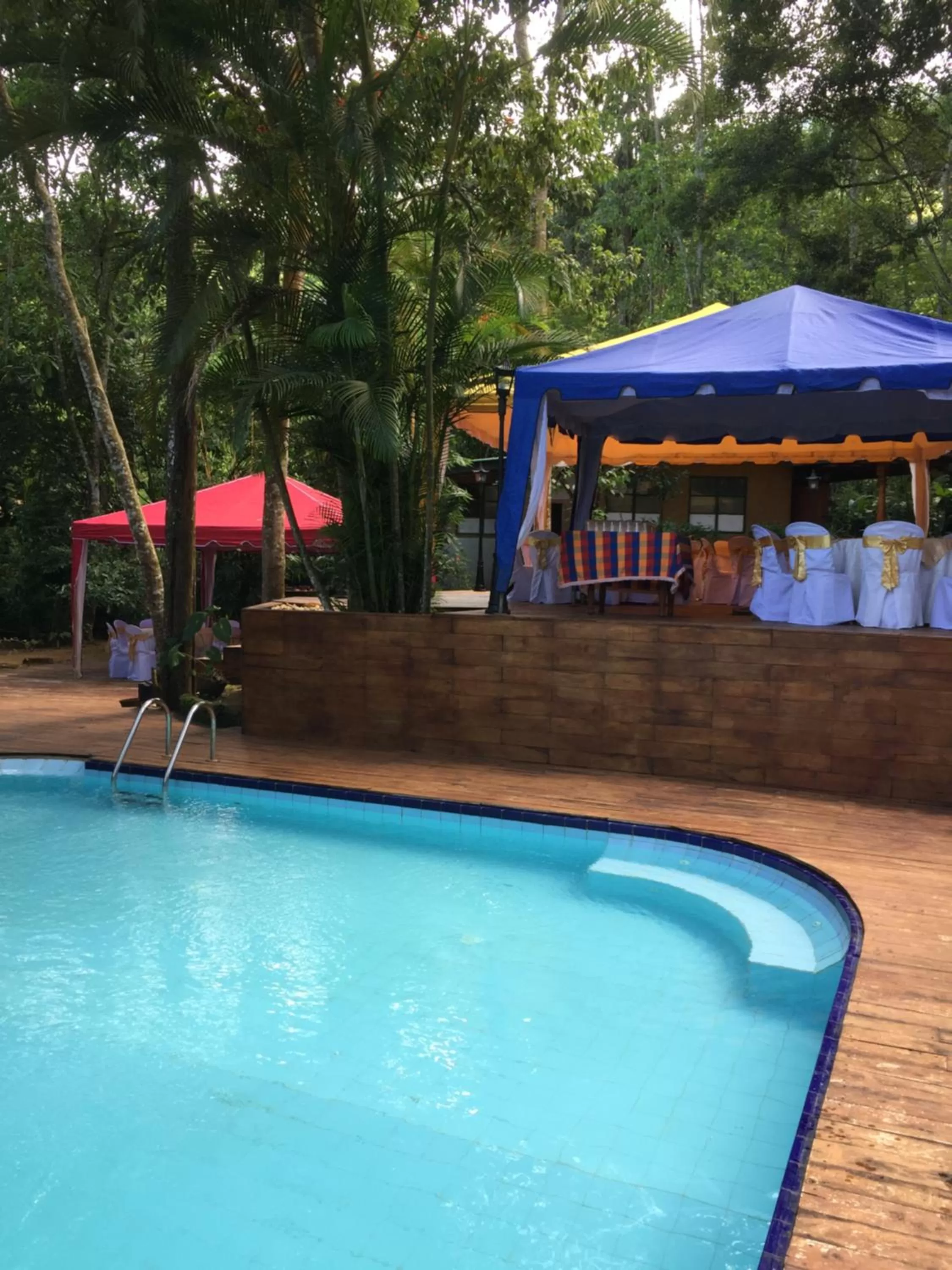 Swimming pool in Le leopard d 'argent
