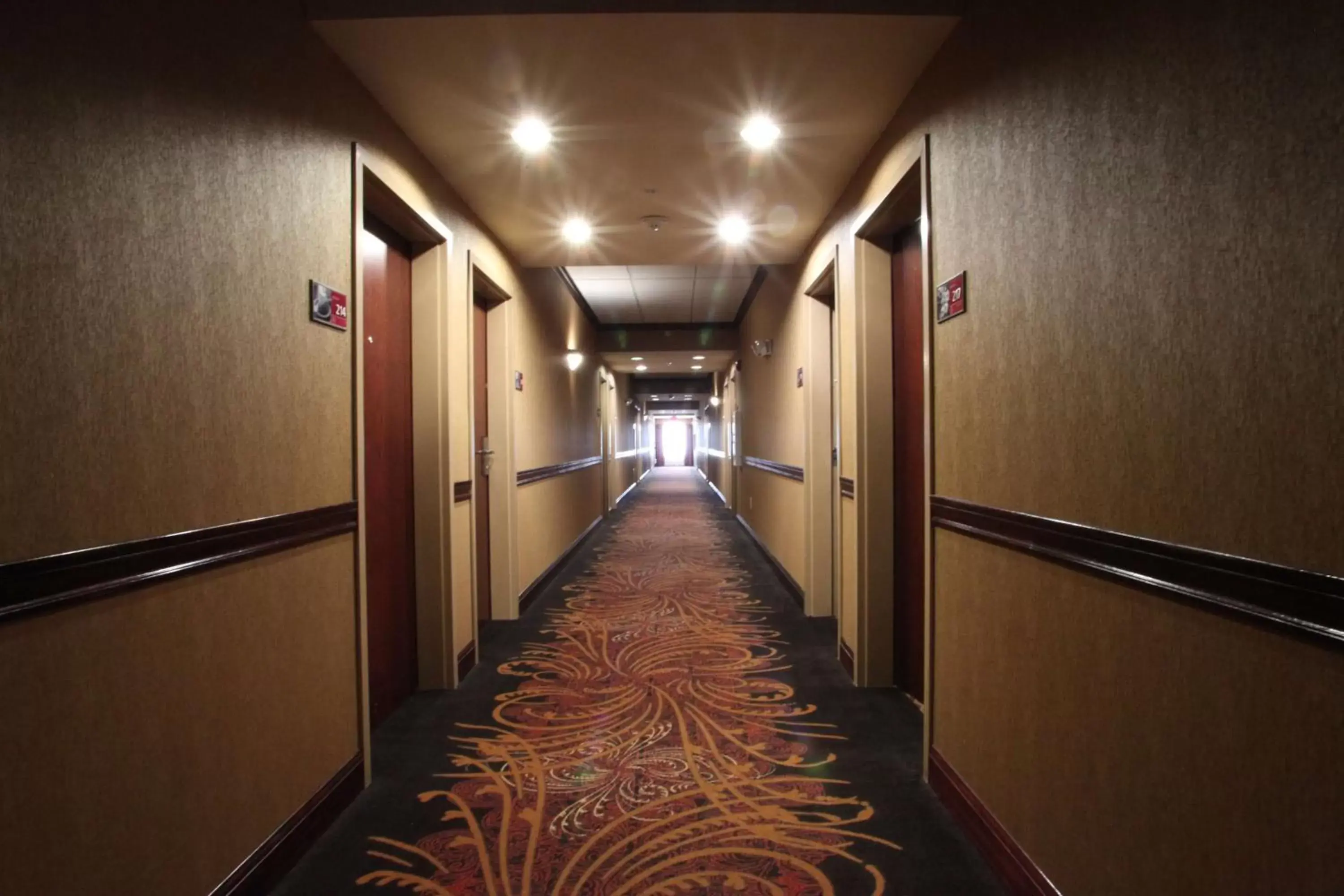 Lobby or reception in Hampton Inn Seguin