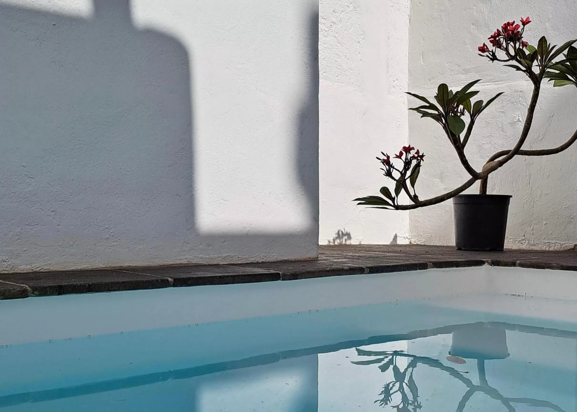 Patio, Swimming Pool in Casa de las Flores - Hotel Boutique Lanzarote