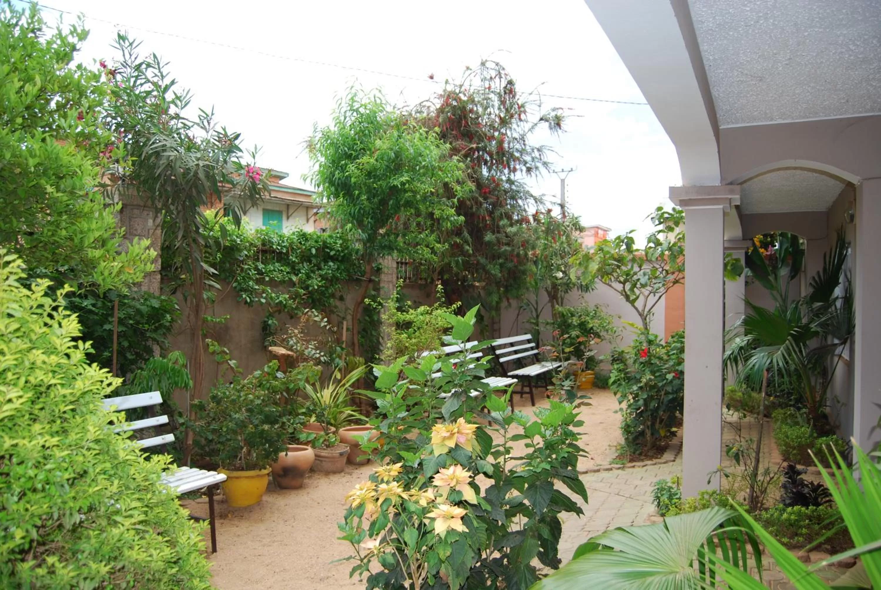 Garden in Antsirabe Hotel