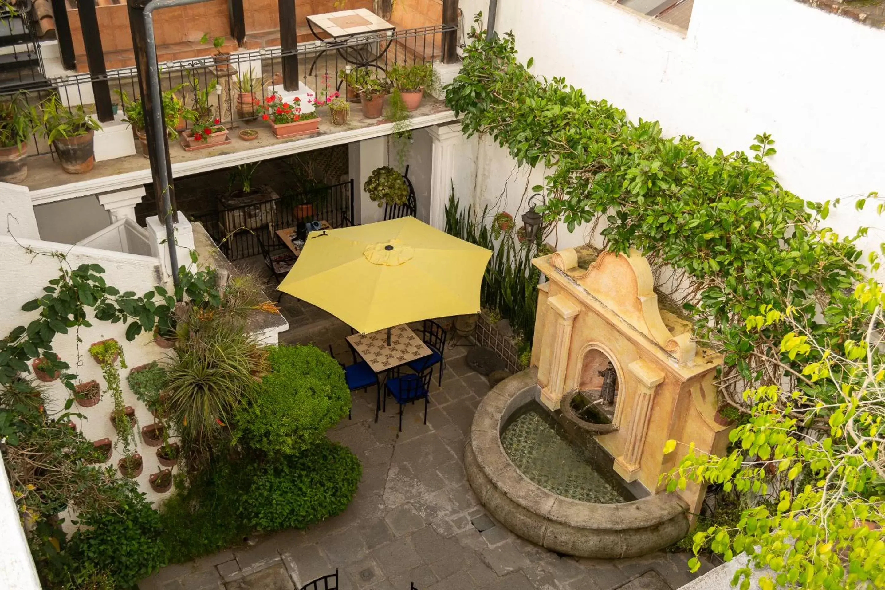 Garden in Hotel La Villa Serena