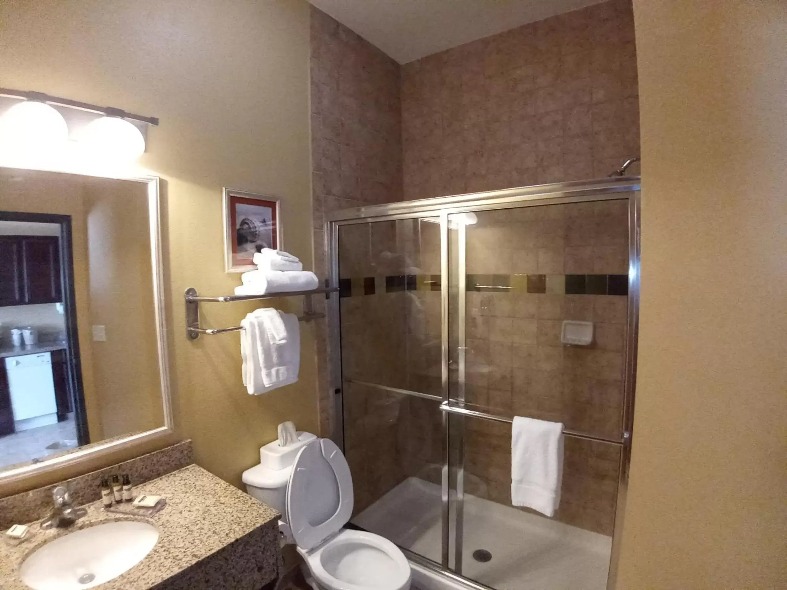 Shower, Bathroom in Hawthorn Suites by Wyndham Corpus Christi/Padre Isle