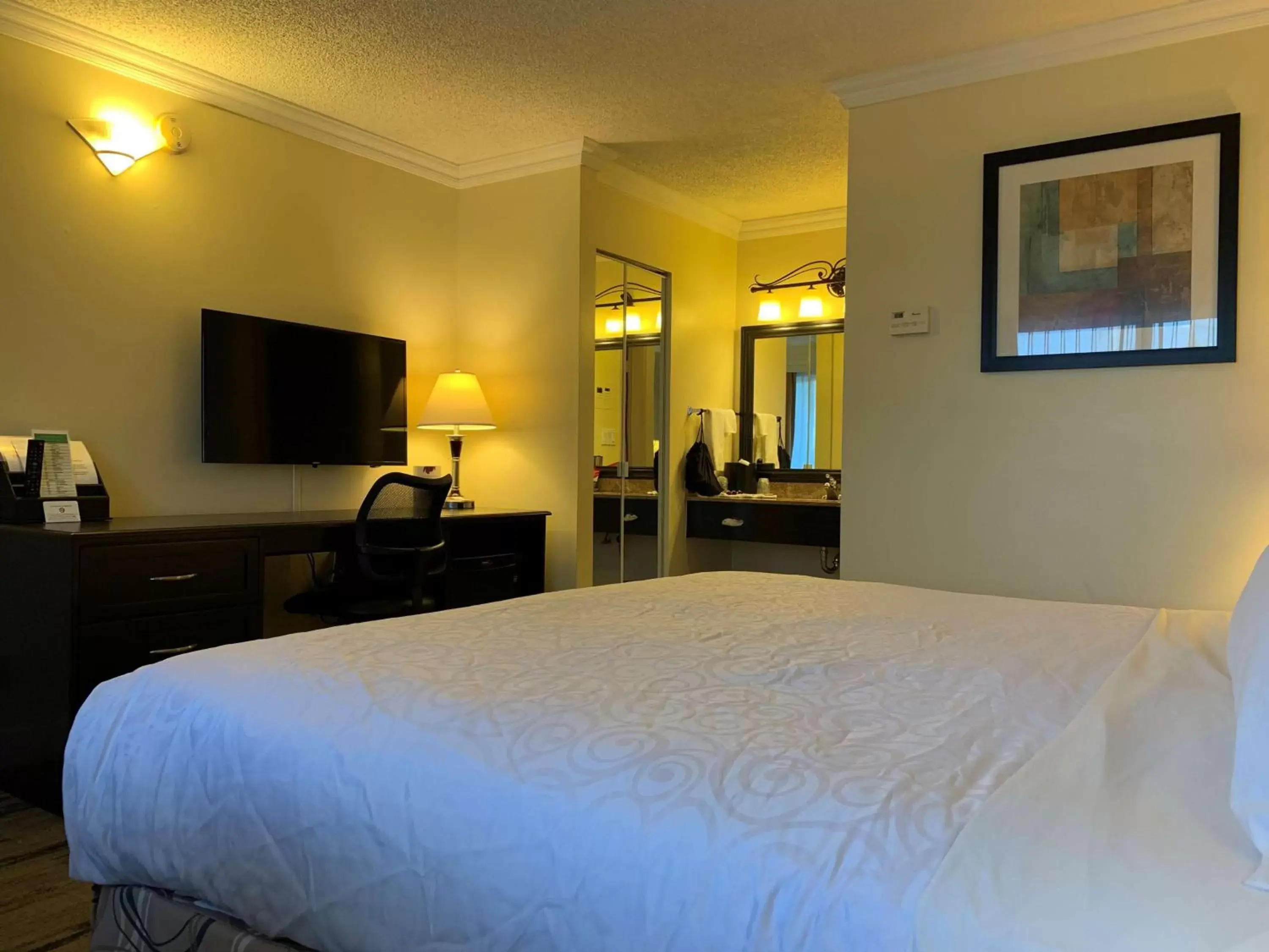 Photo of the whole room, Bed in Best Western PLUS Burnaby Hotel