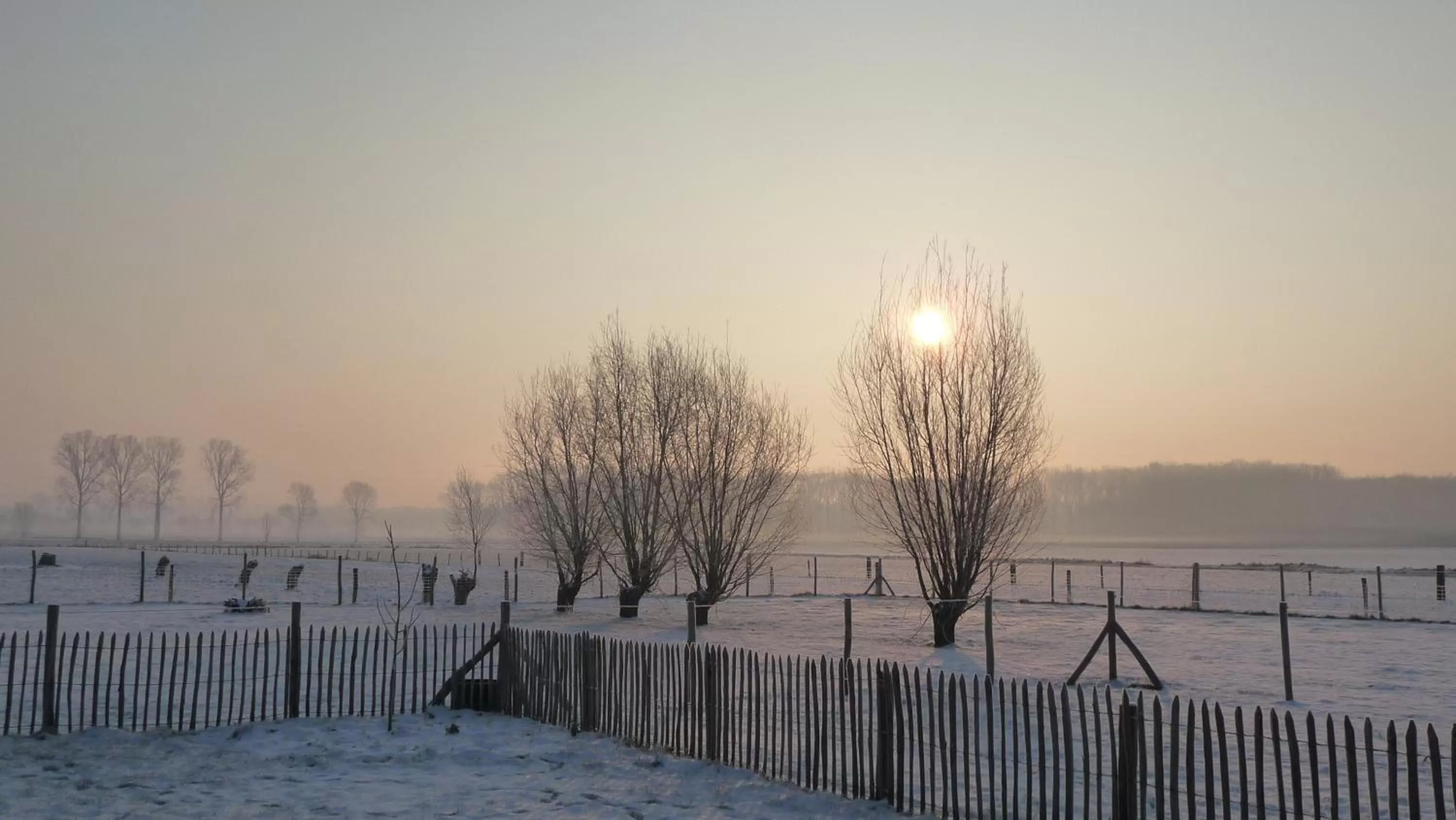 View (from property/room) in B&B De Vossenbarm