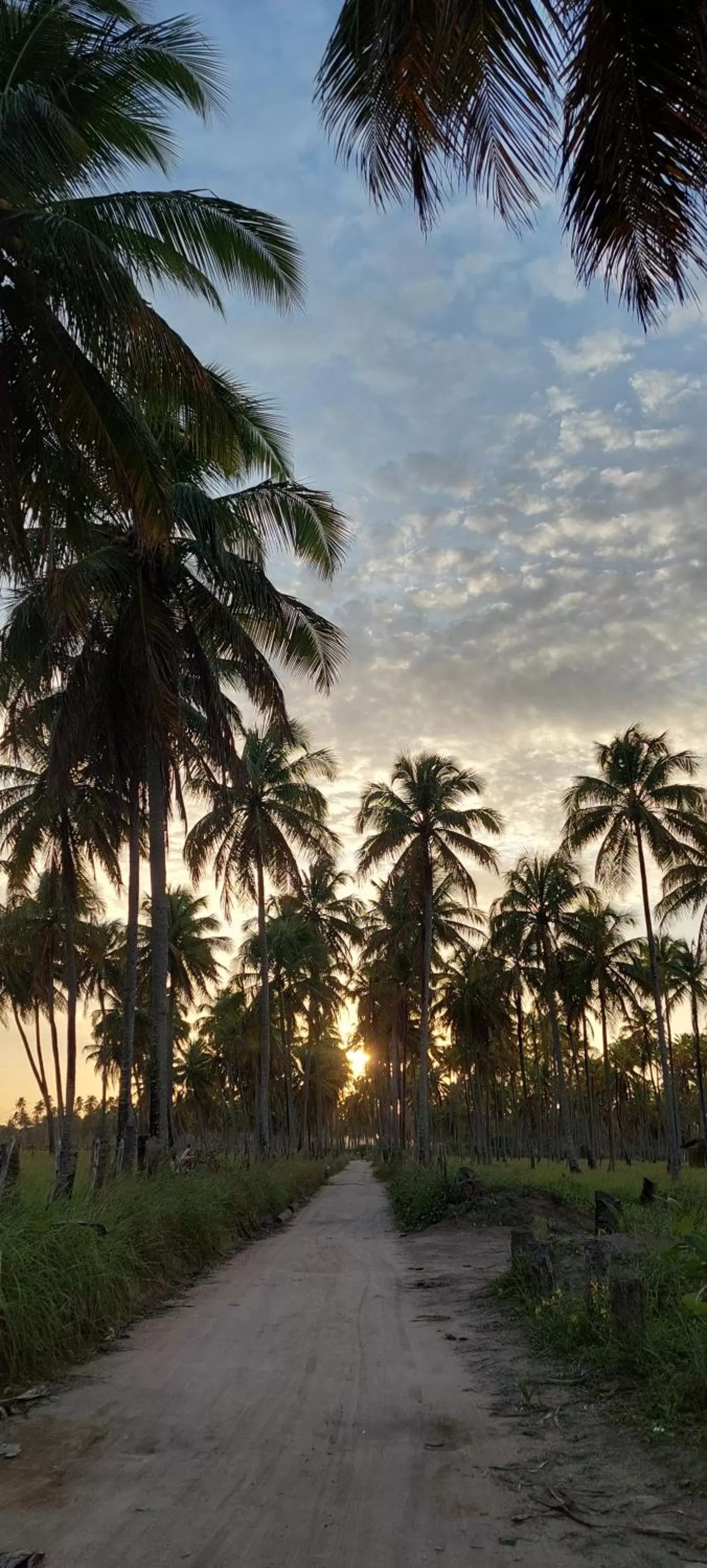 Natural landscape in Arataba Hotel Boutique e Bistrô - 150 mts do mar