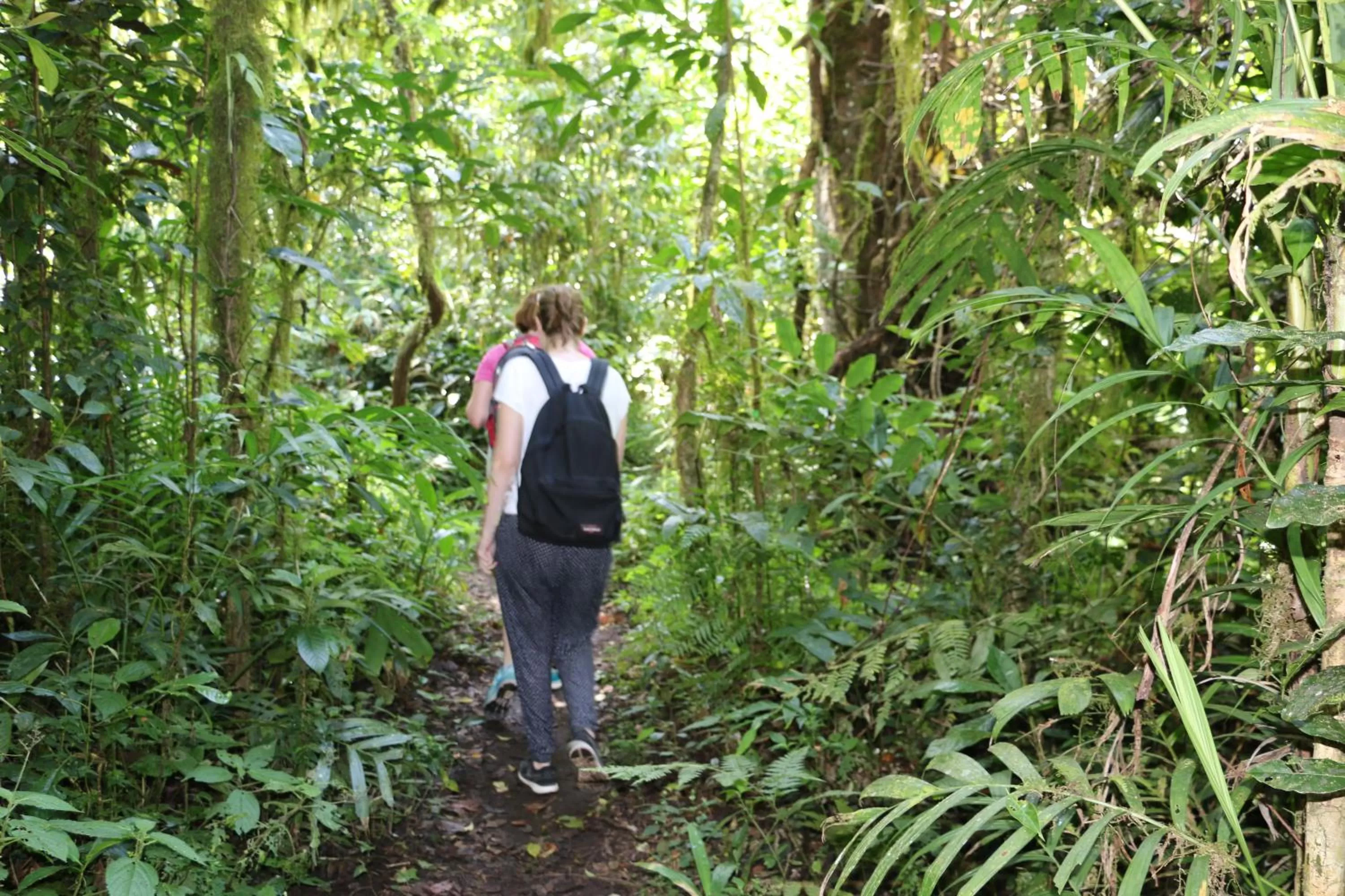 Activities in Shanti Natural Panorama View Hotel