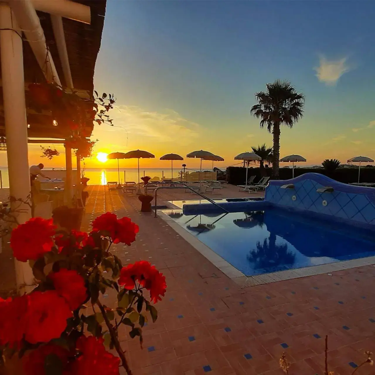 Swimming Pool in Hotel Albatros