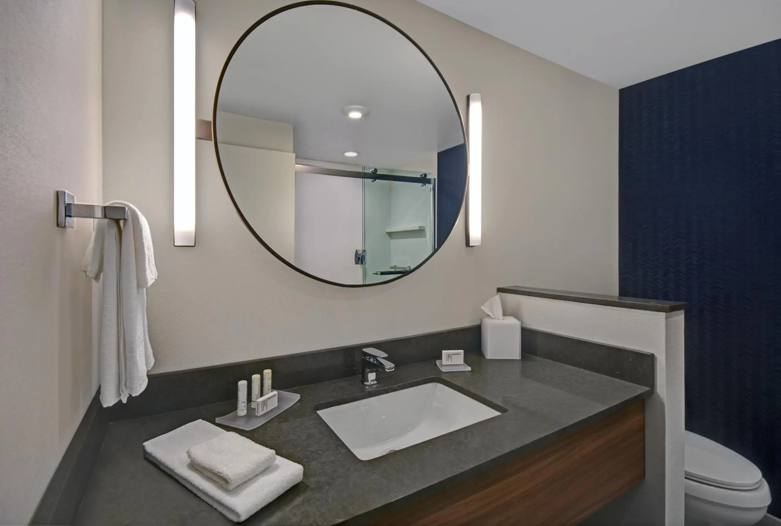 Bathroom in Fairfield by Marriott Inn & Suites Norfolk