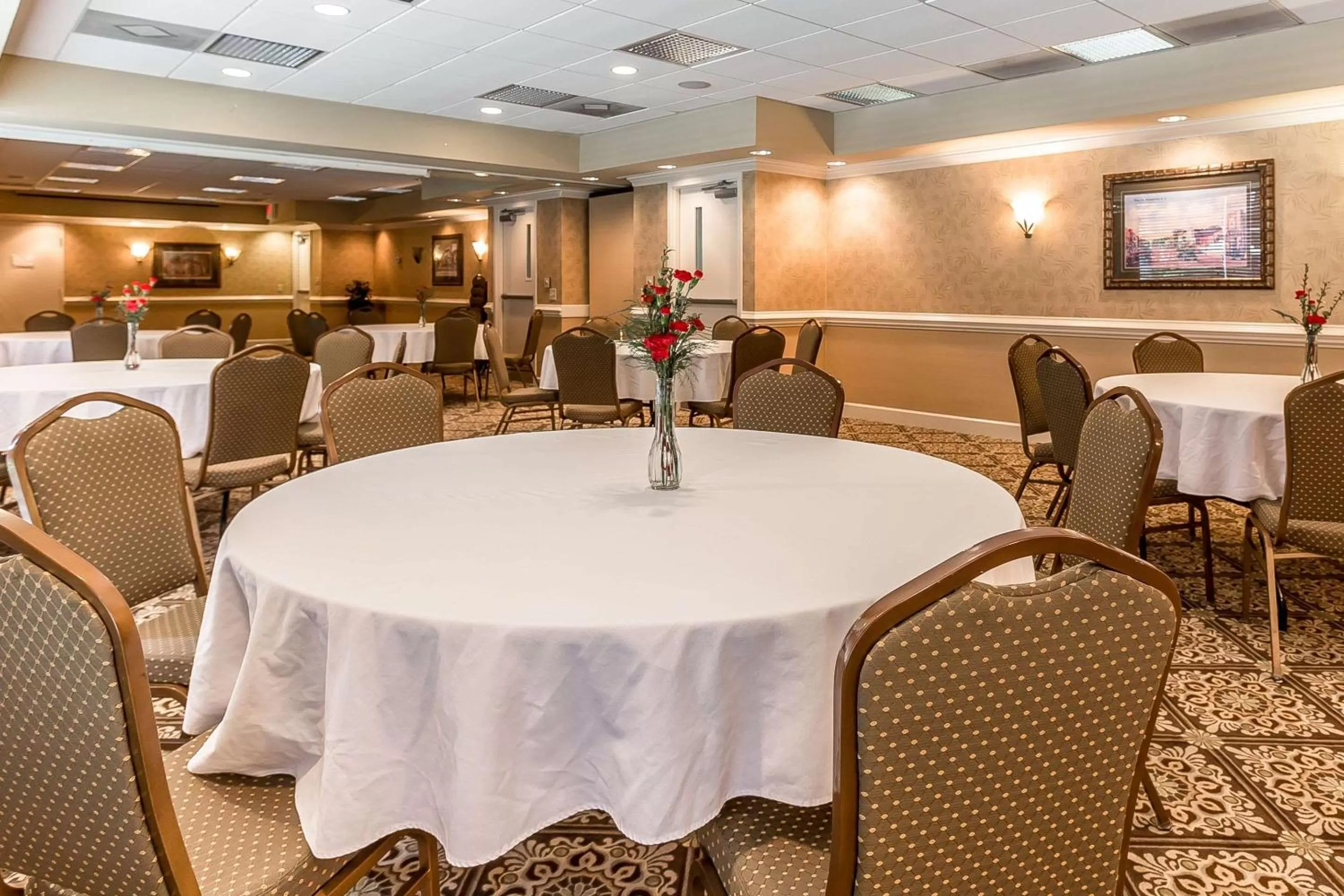 On site in Quality Inn & Suites Georgetown