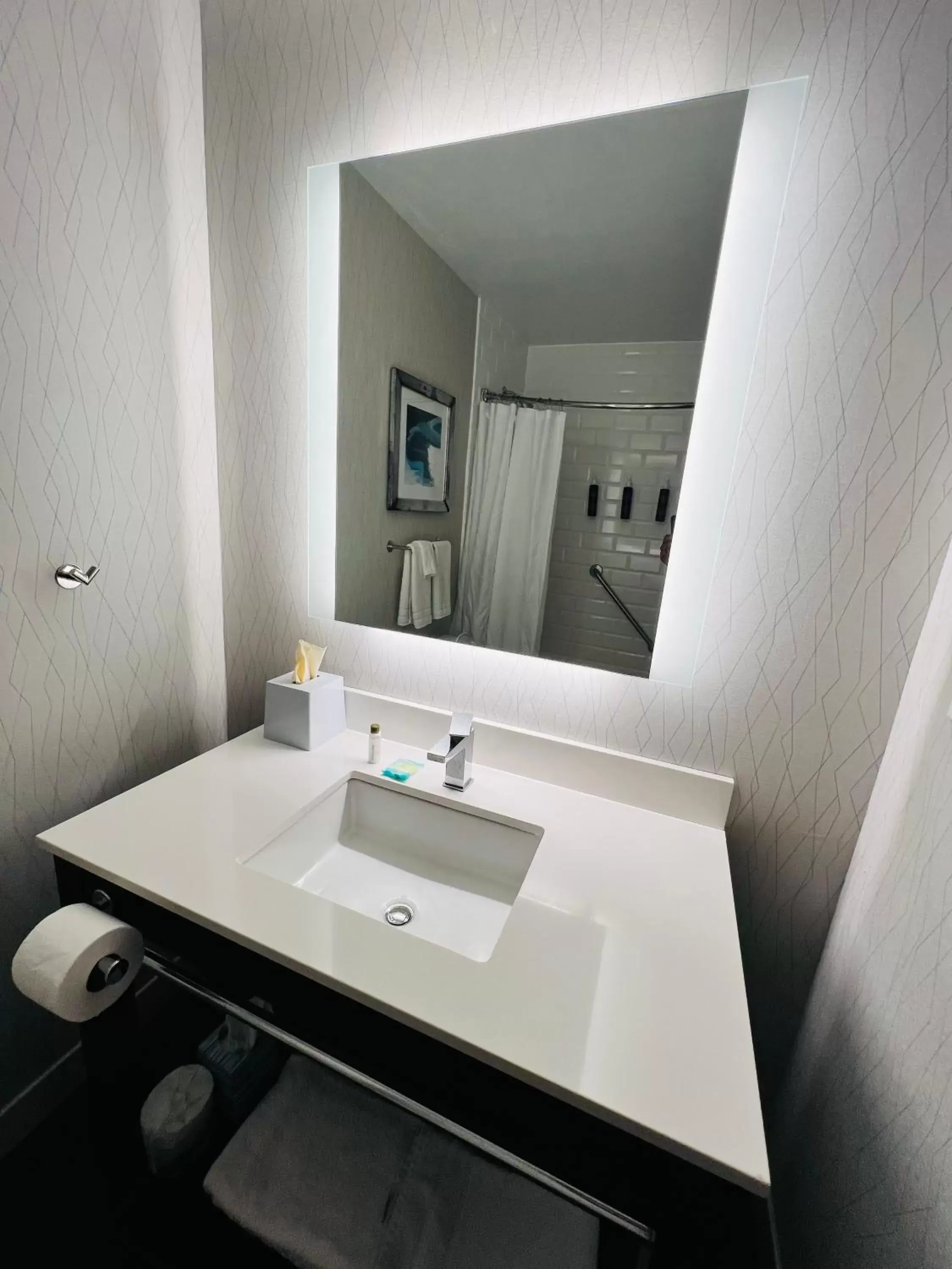 Bathroom in Four Points by Sheraton St. Louis - Fairview Heights
