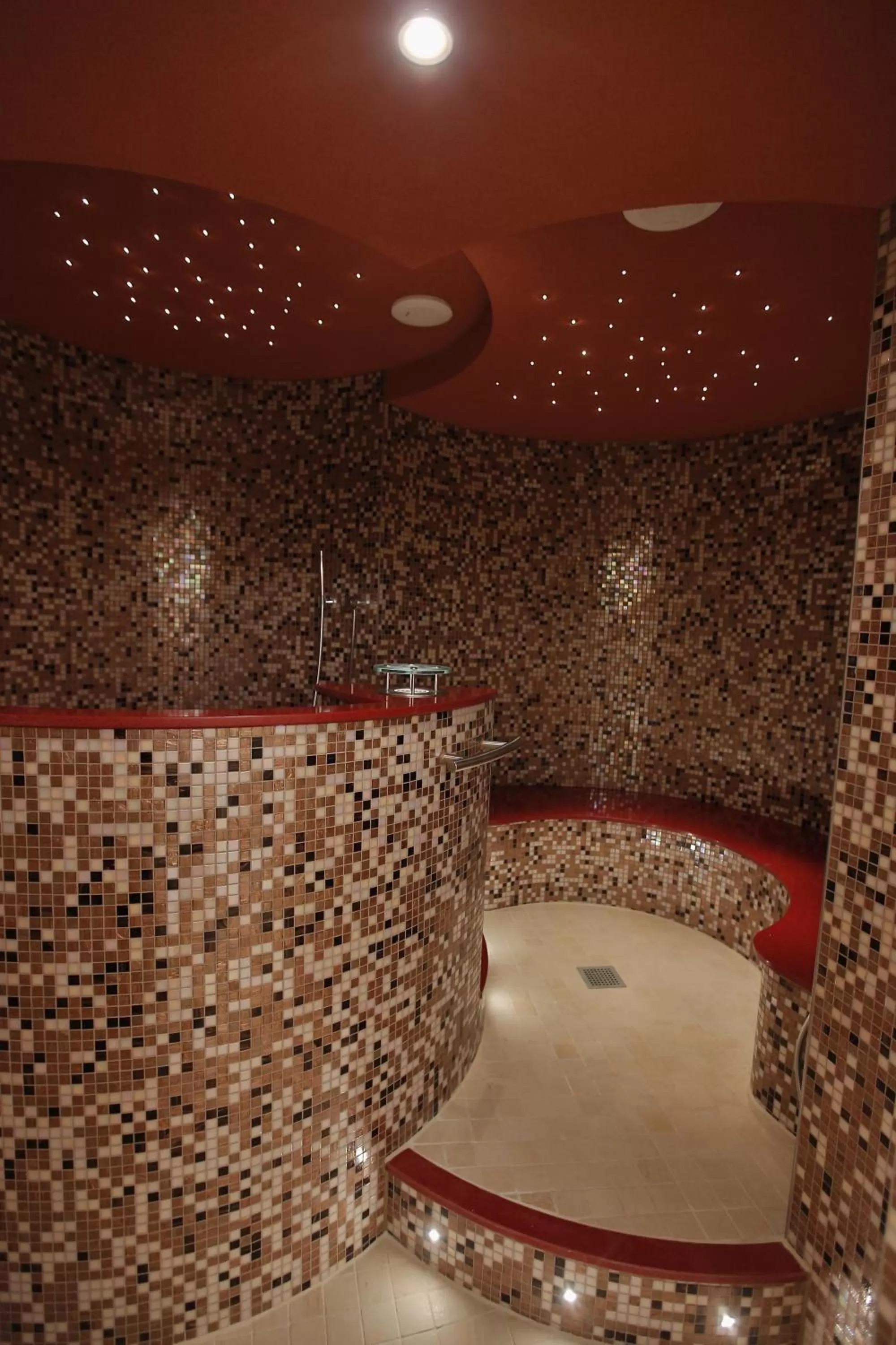 Steam room in Hotel-Restaurant Anne-Sophie