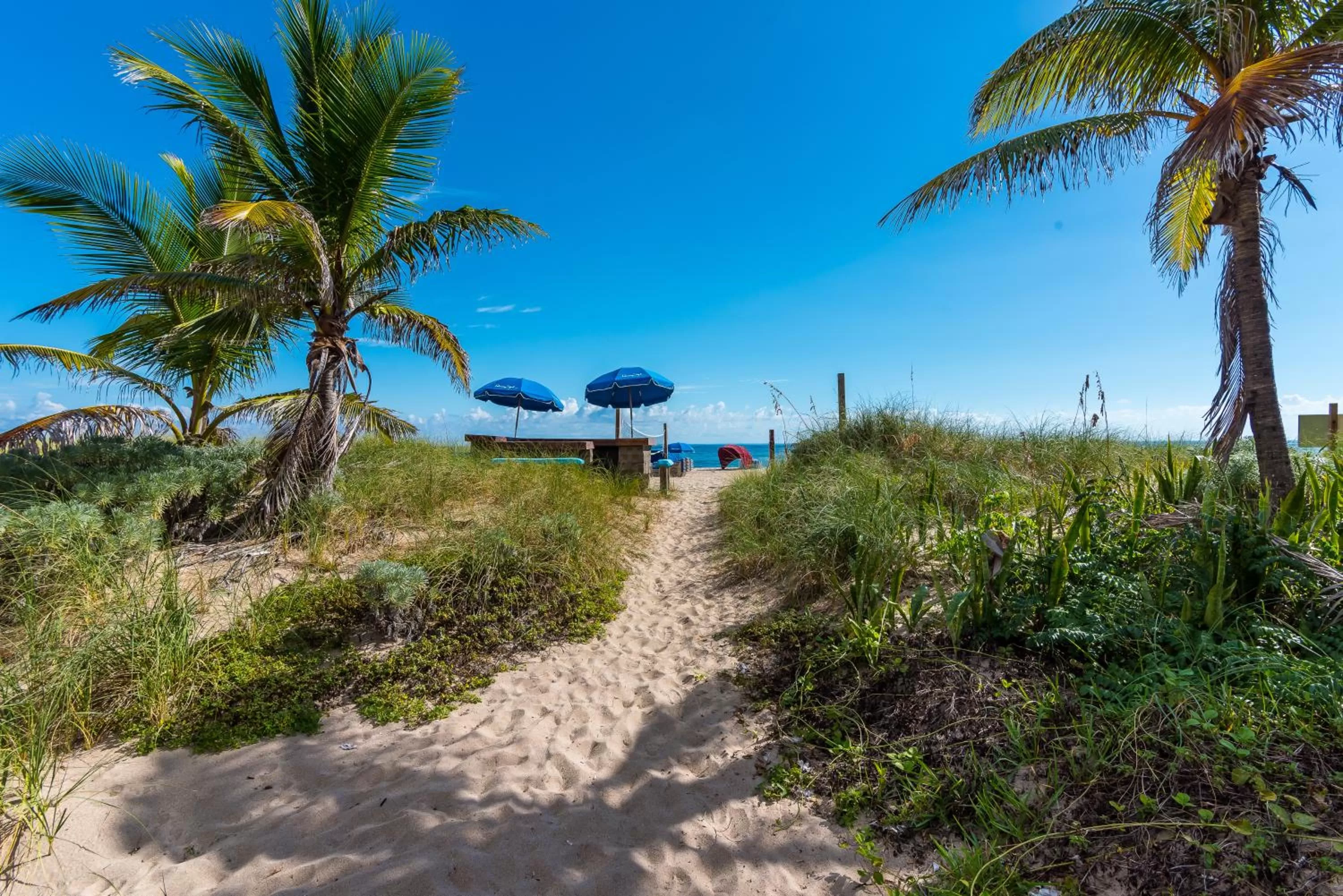 Beach in La Costa Beach Club