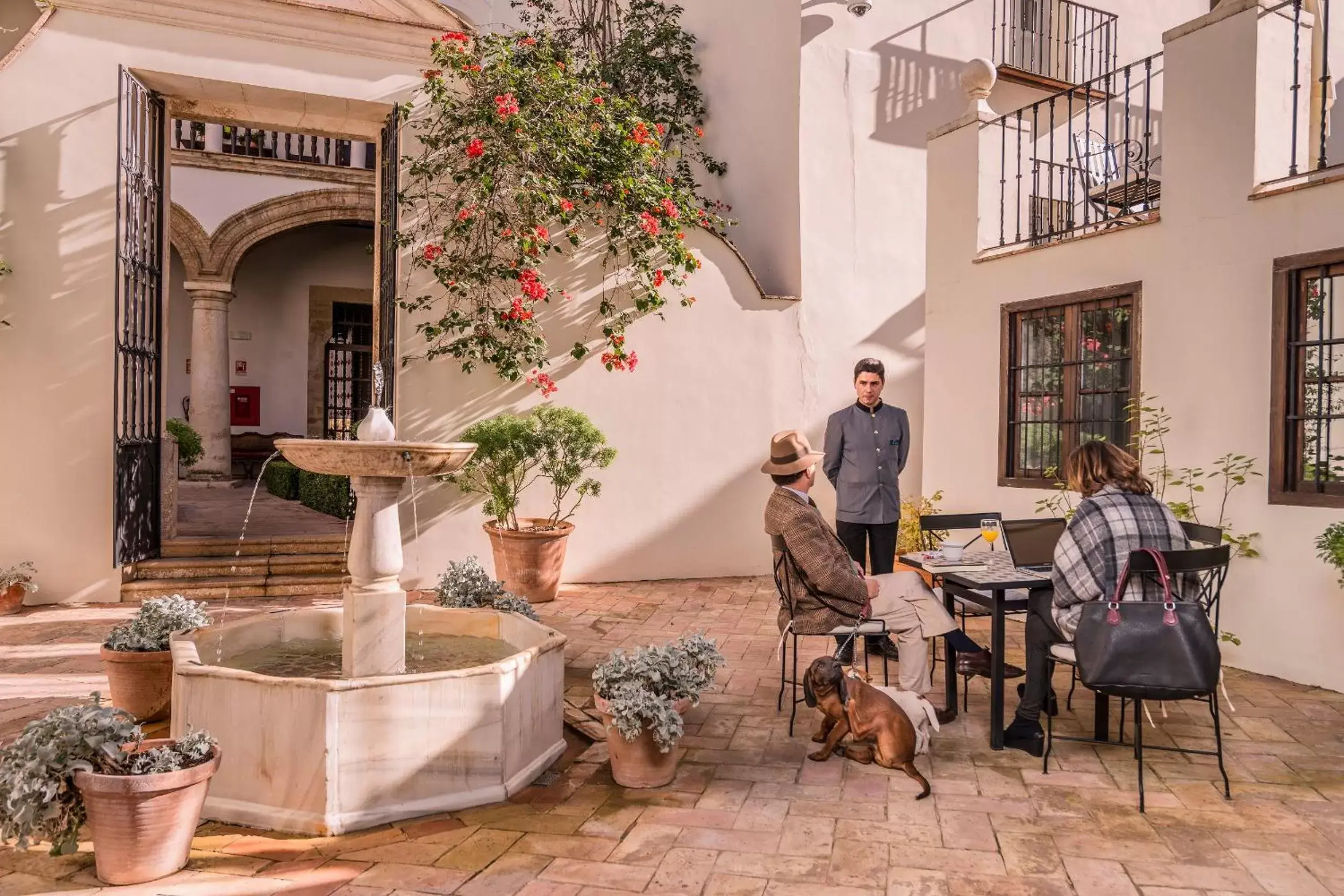 Patio, Patio/Outdoor Area in Las Casas de la Judería de Córdoba